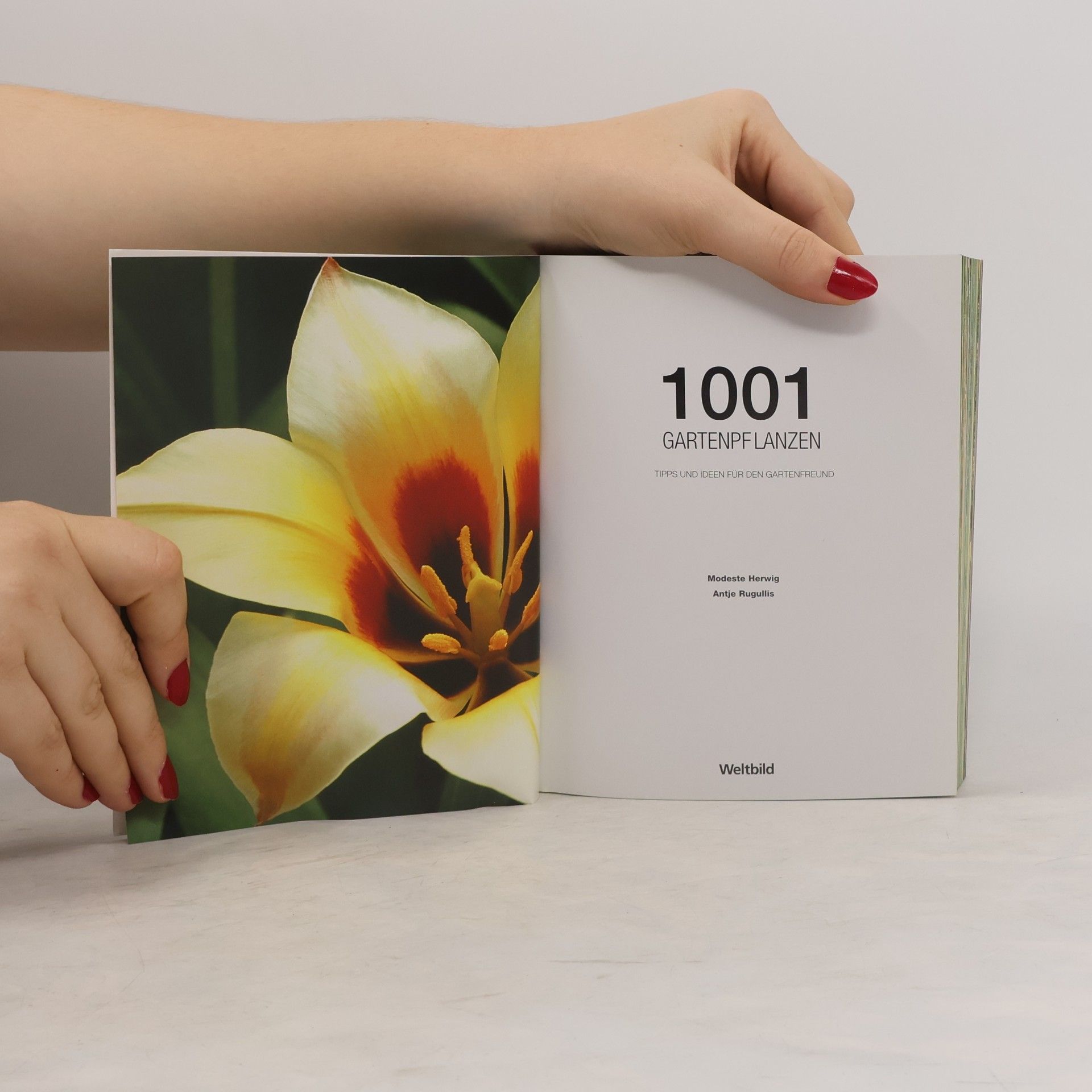 Kolektiv autorů 1001 Gartenpflanzen