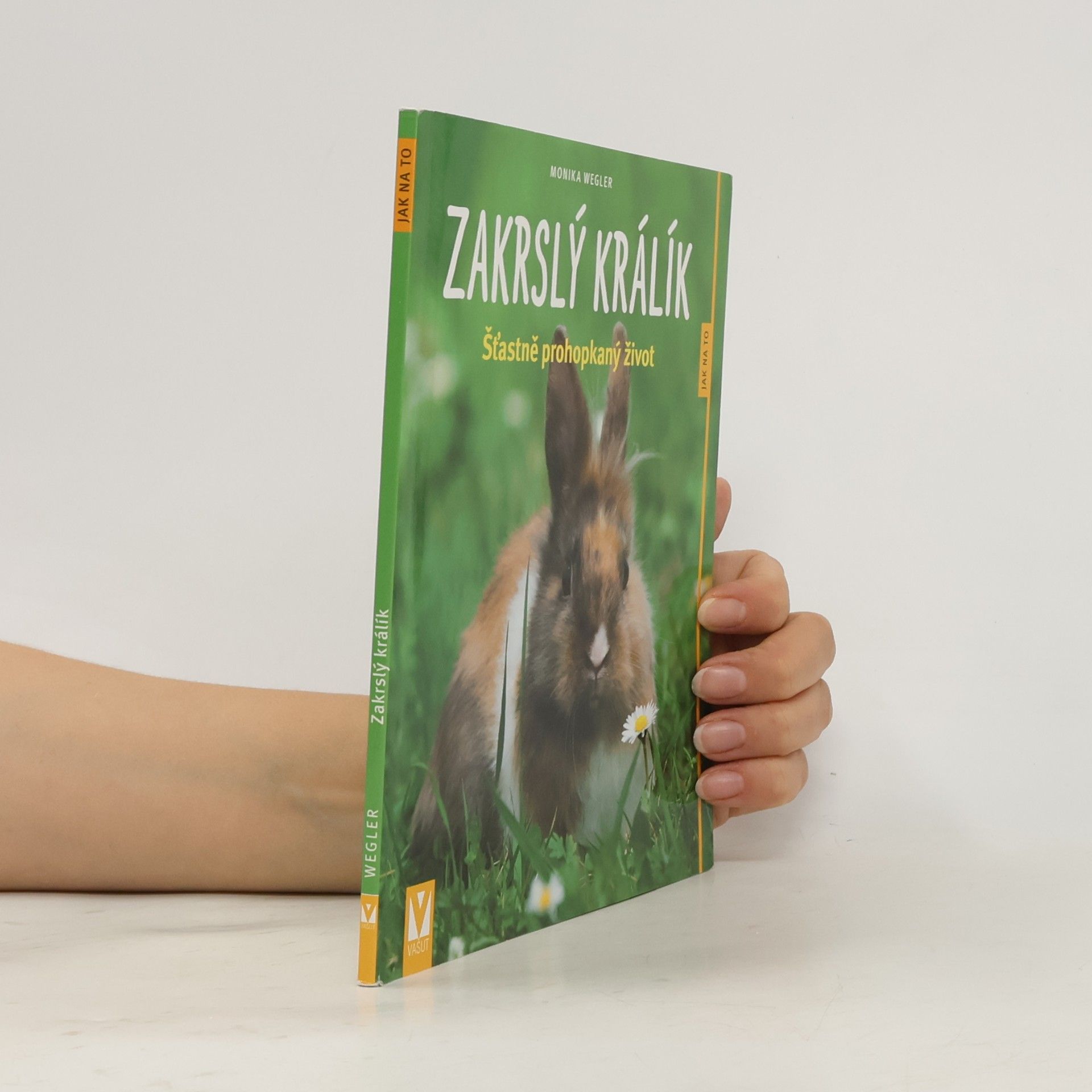 Monika Wegler Zakrslý králík