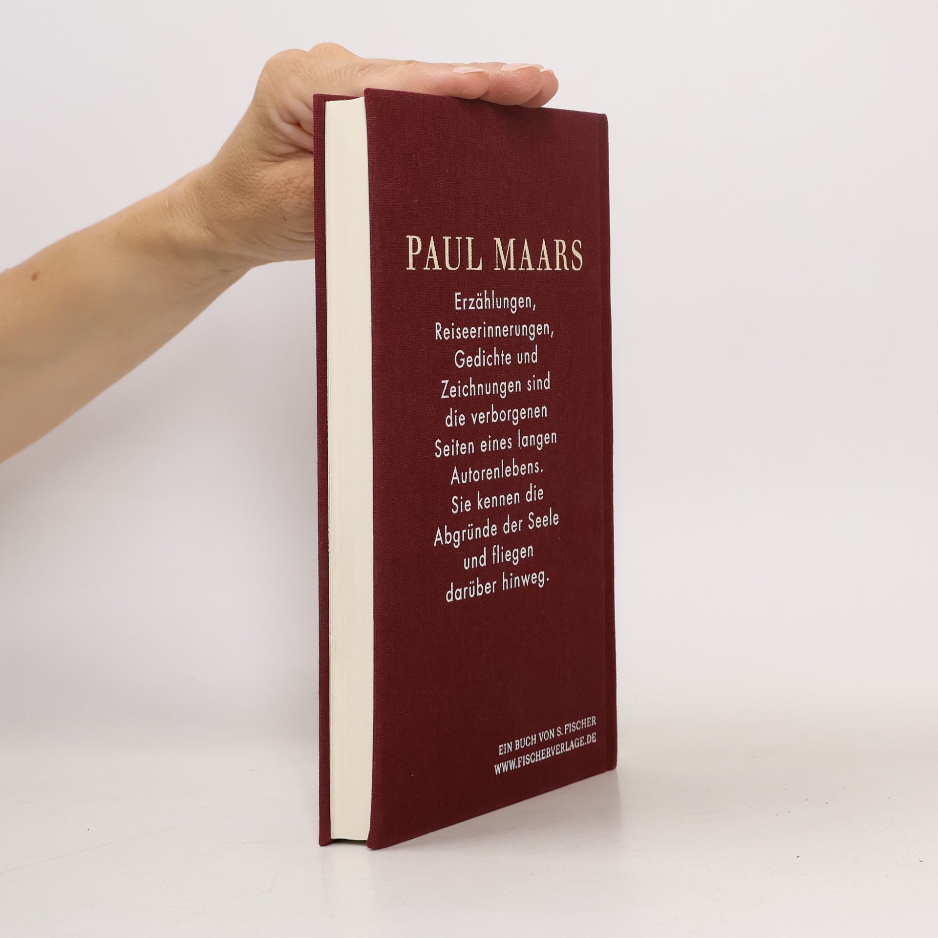 Paul Maar Ein Hund mit Flügeln