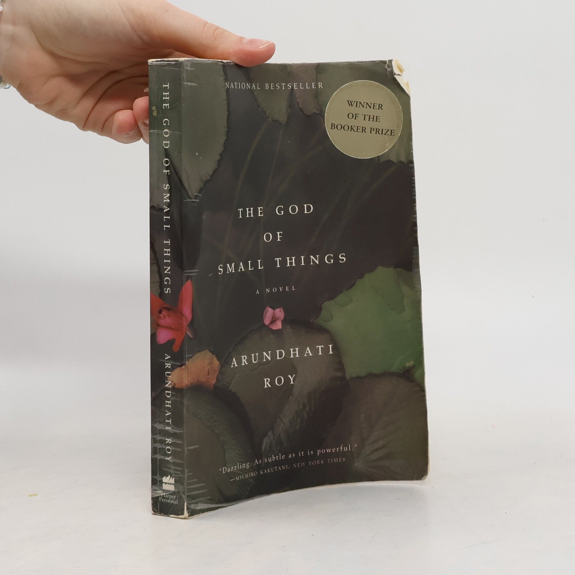 Arundhati Roy The God of Small Things