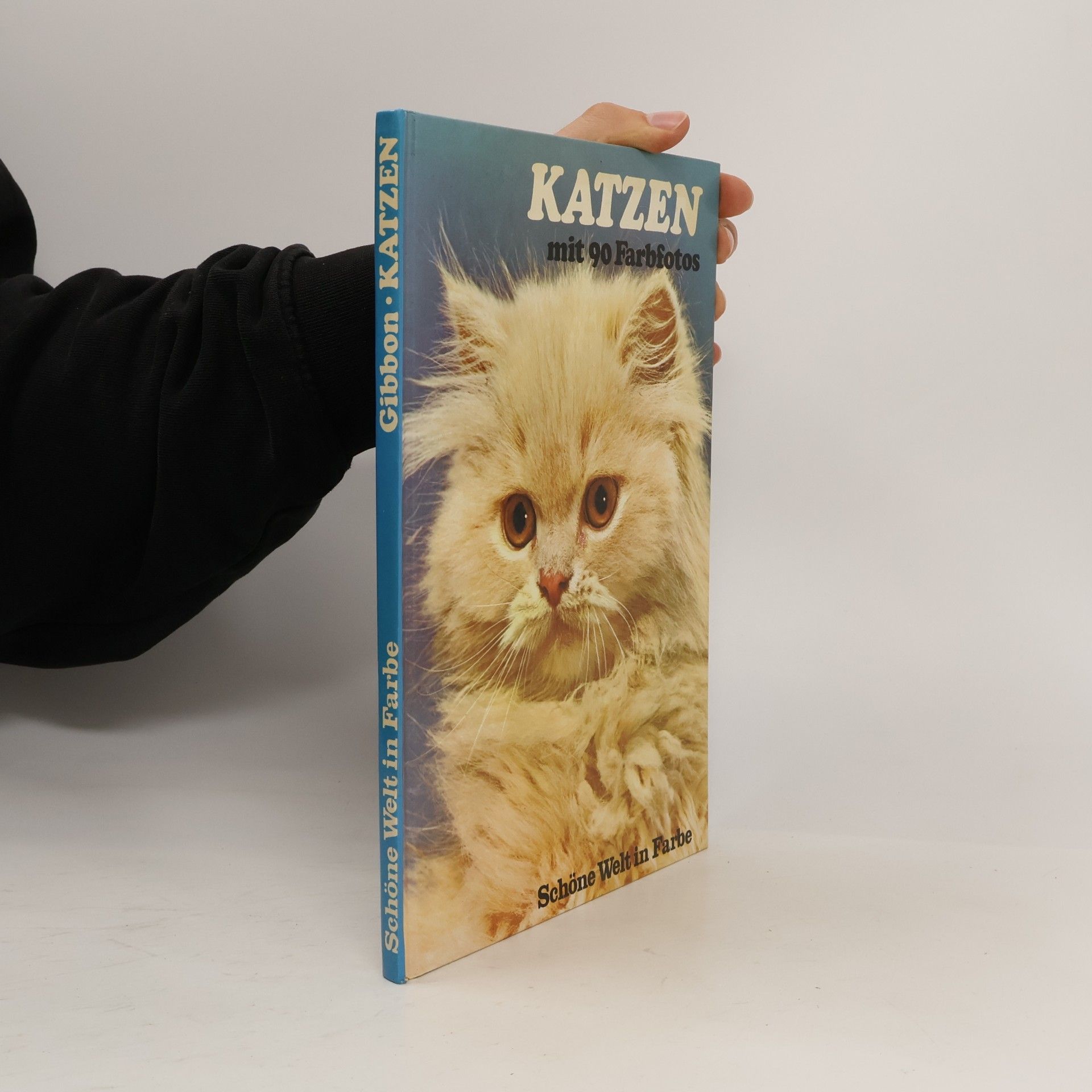 David Gibbon Katzen