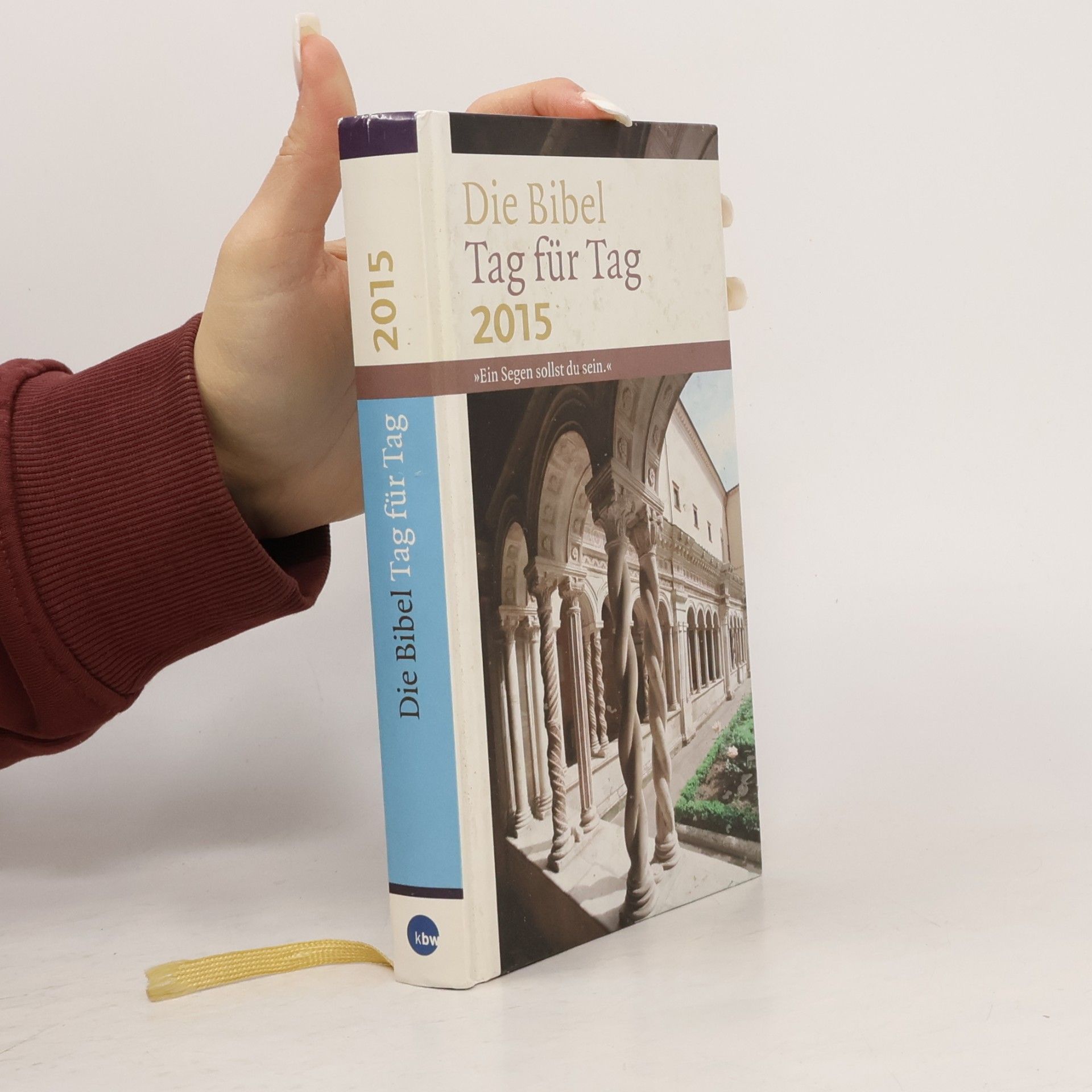 Die Bibel Tag für Tag 2015 - Großdruckausgabe