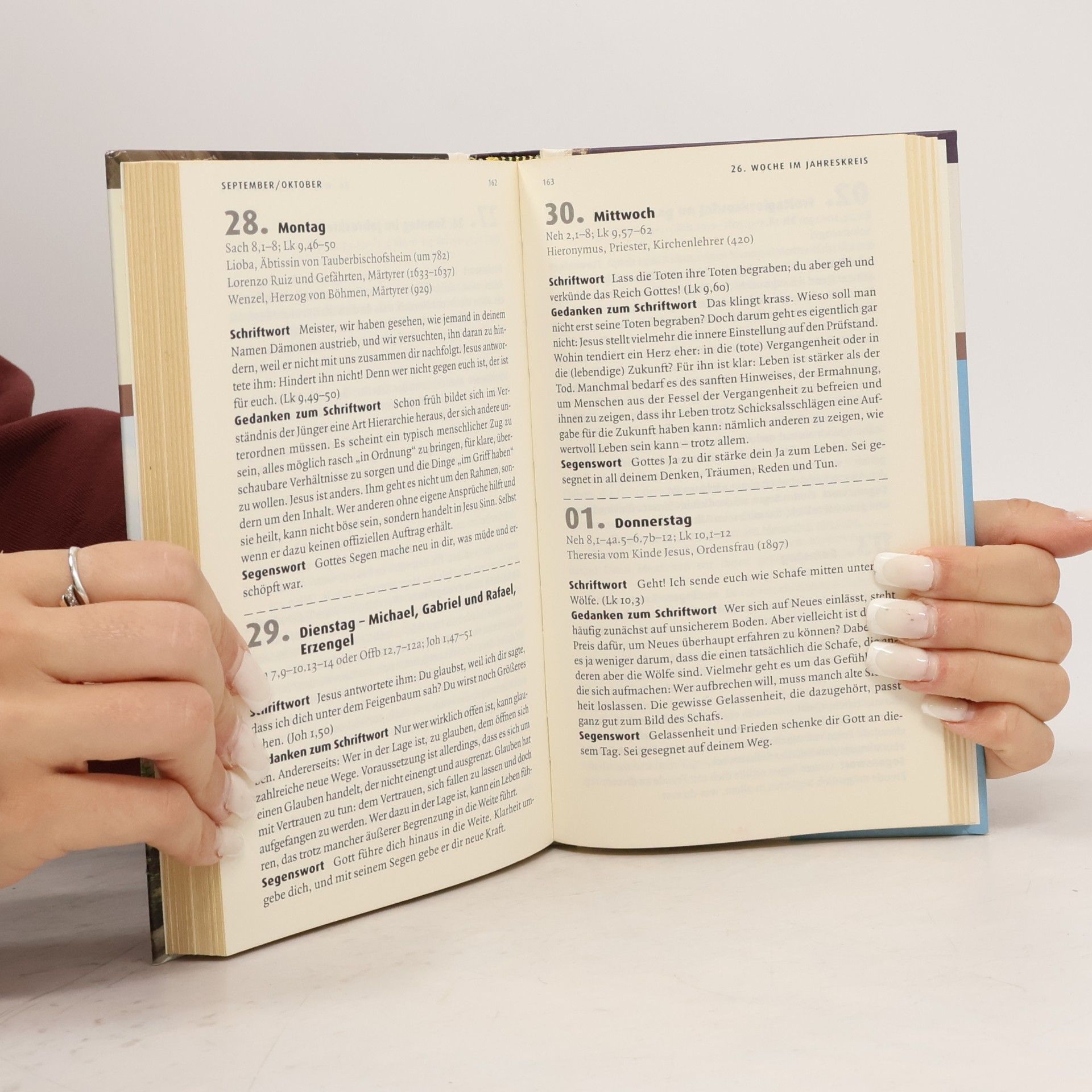 Roland Breitenbach Die Bibel Tag für Tag 2015 - Großdruckausgabe