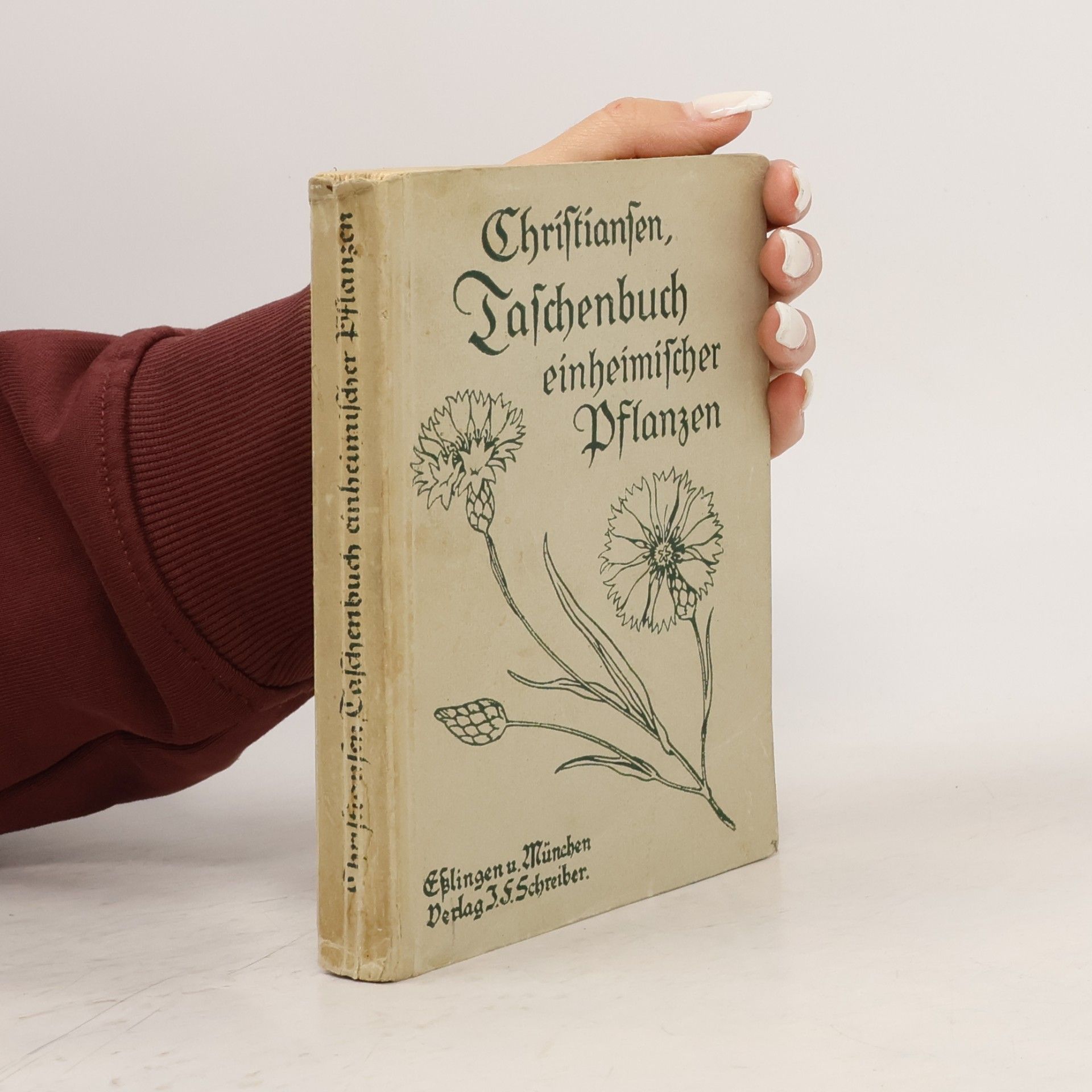 H. Christiansen Taschenbuch einheimischer Pflanzen