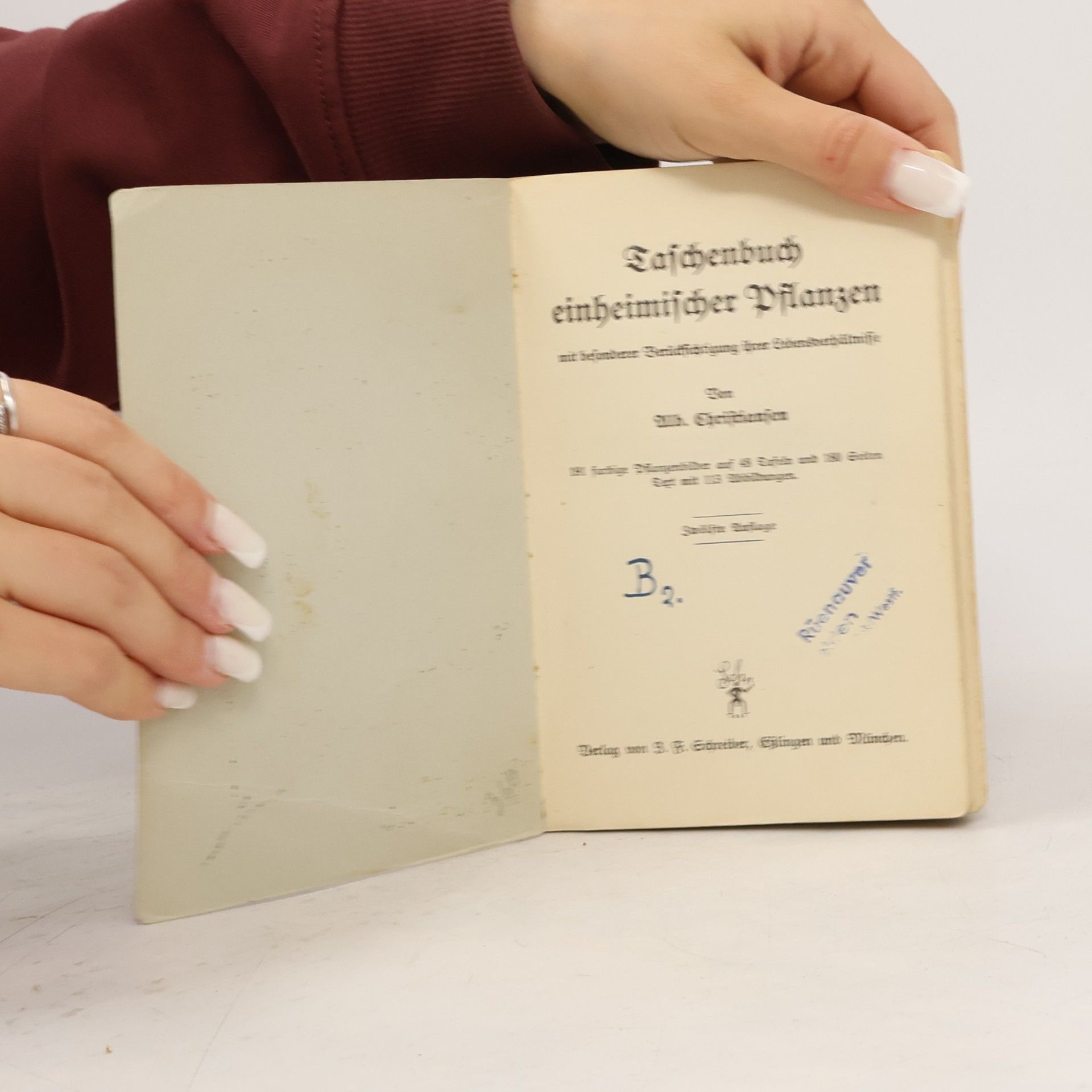 H. Christiansen Taschenbuch einheimischer Pflanzen