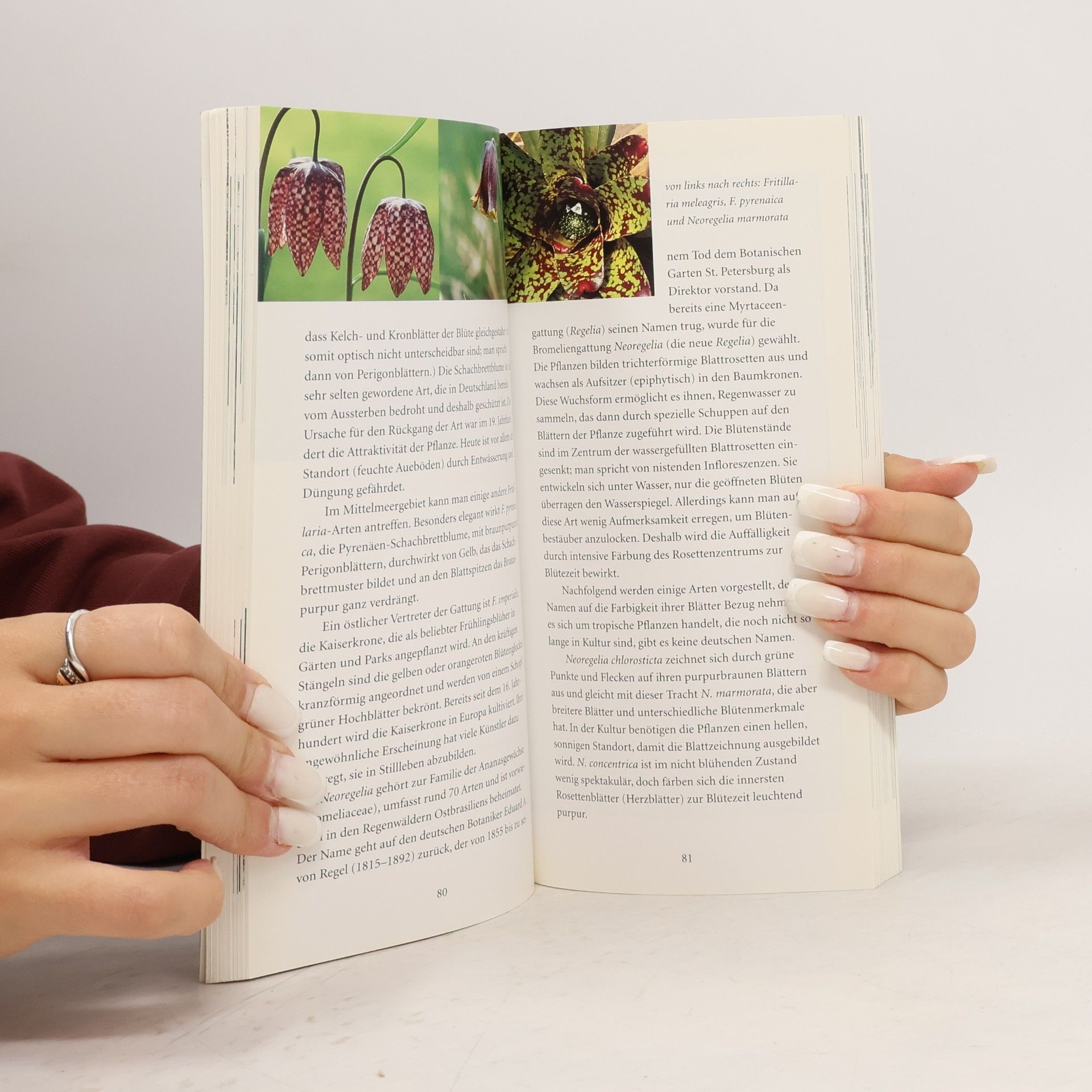 Elvira Gross Dumont's Handbuch: Pflanzennamen und ihre Bedeutung
