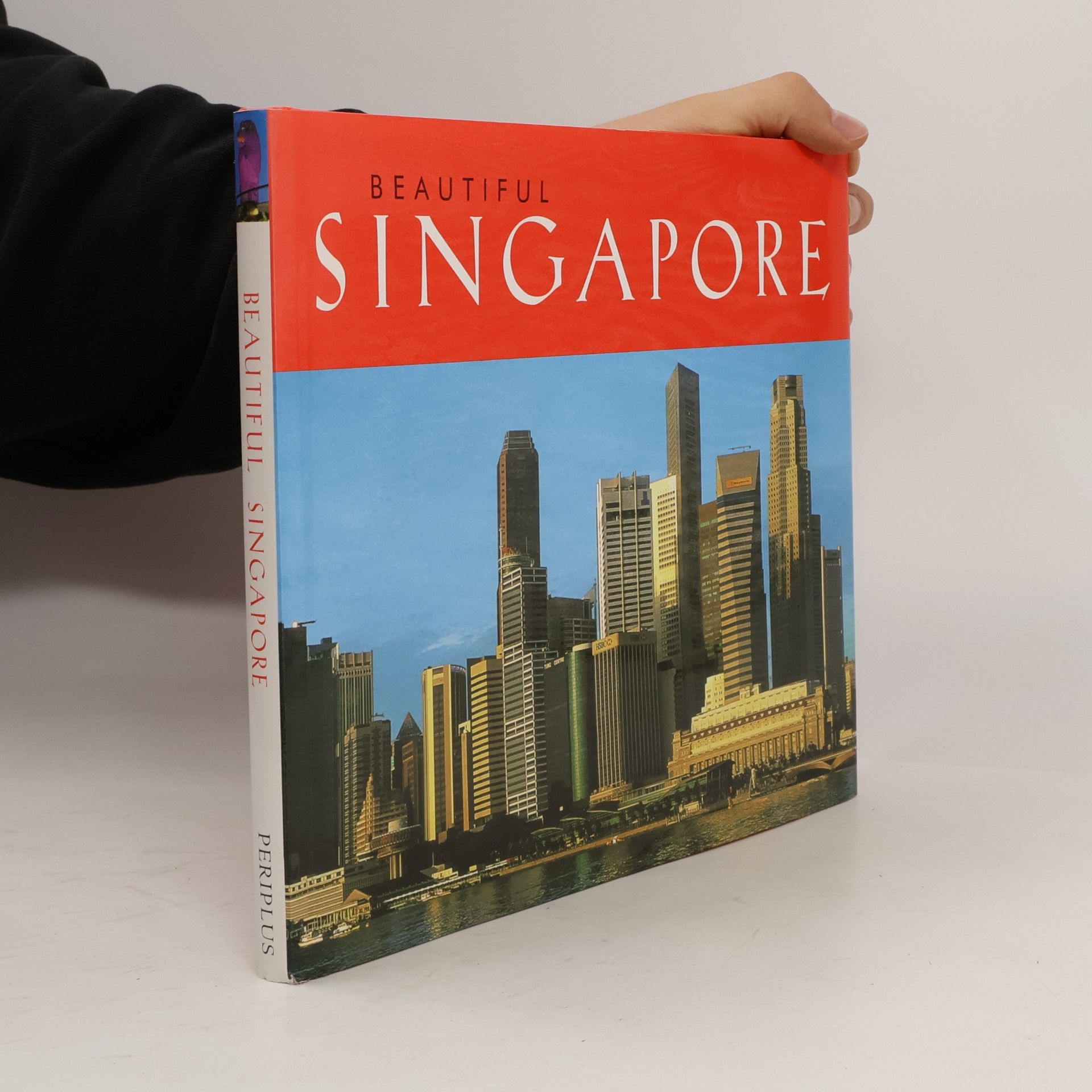 Laura Accomazzo Beautiful Singapore
