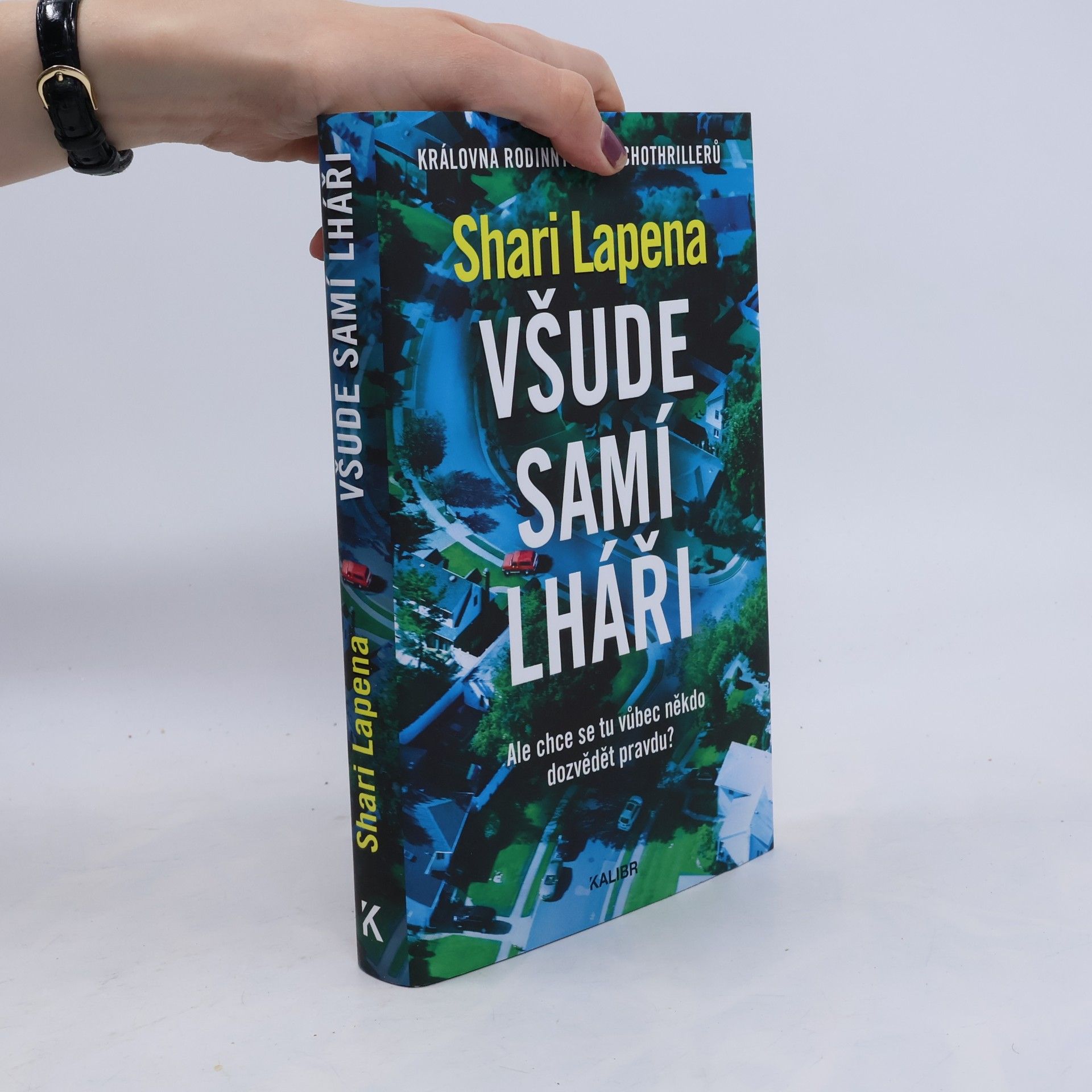 Shari Lapena Všude samí lháři