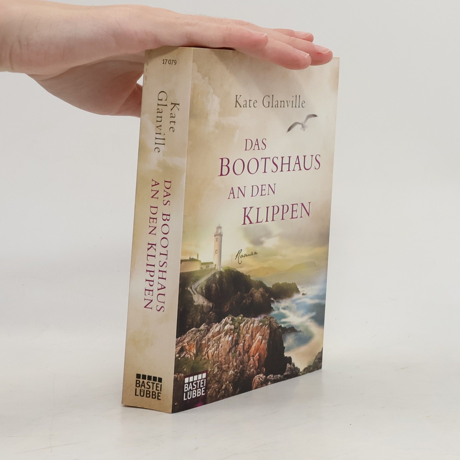 Kate Glanville Das Bootshaus an den Klippen
