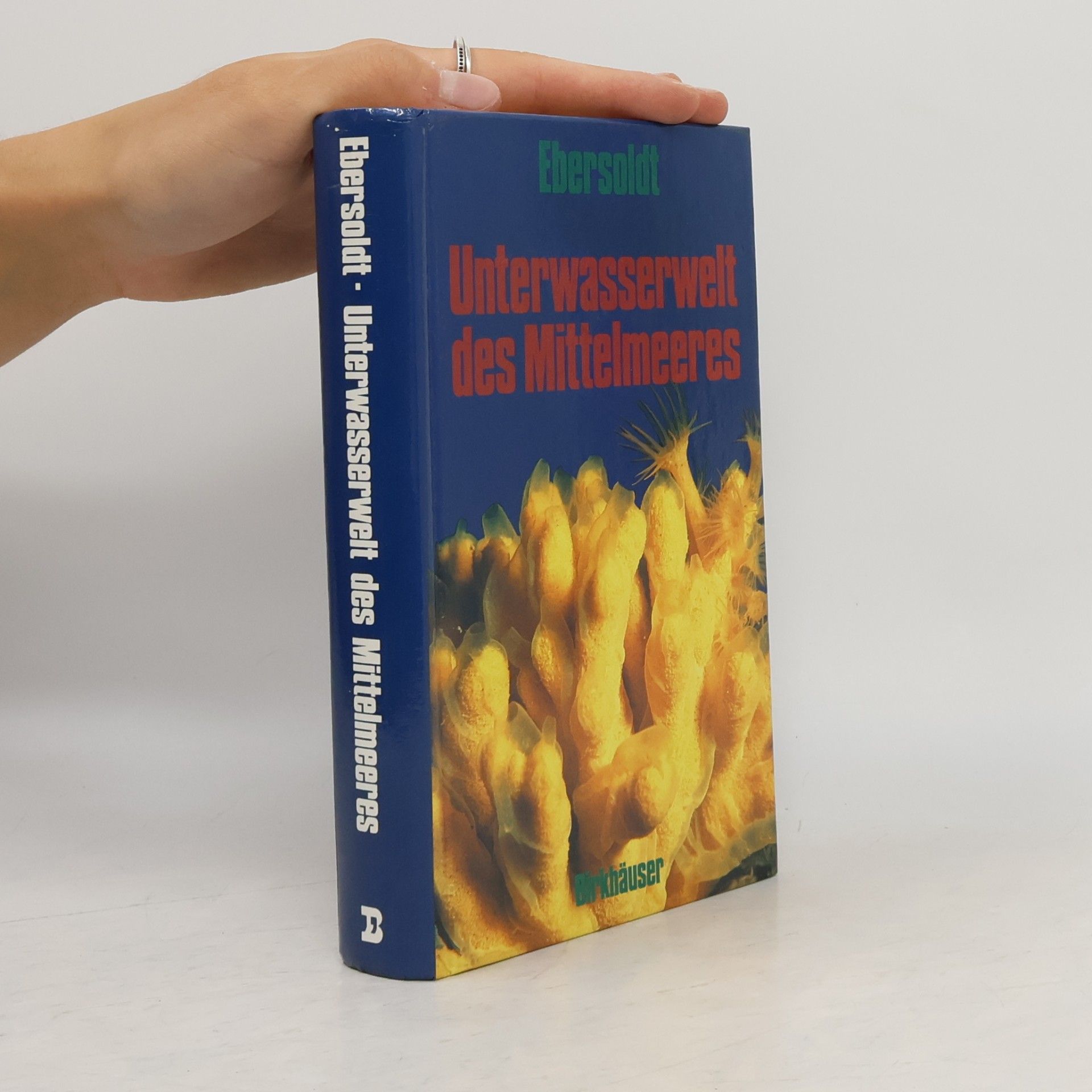 Margot Ebersoldt Unterwasserwelt des Mittelmeeres