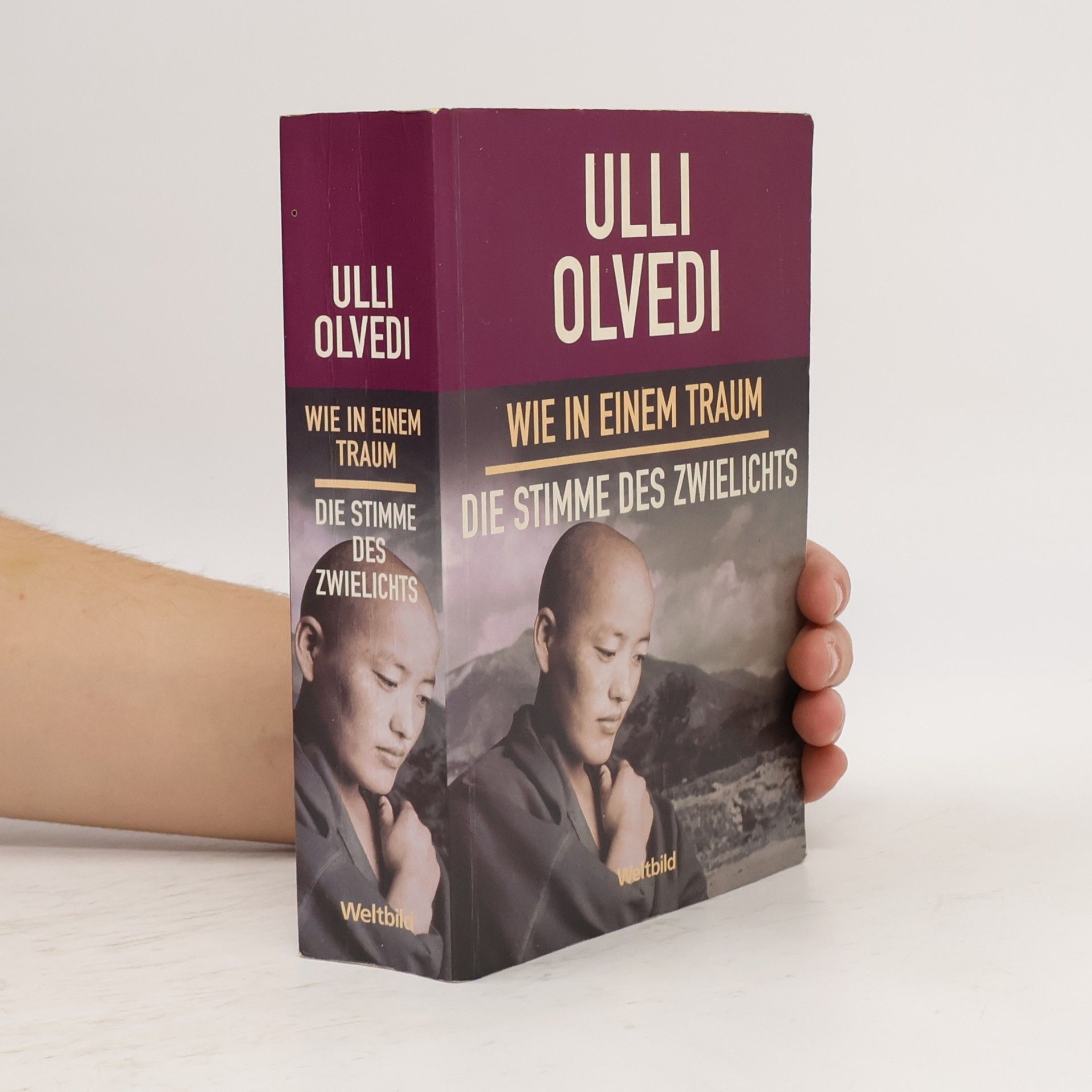 Ulli Olvedi Wie in einem Traum