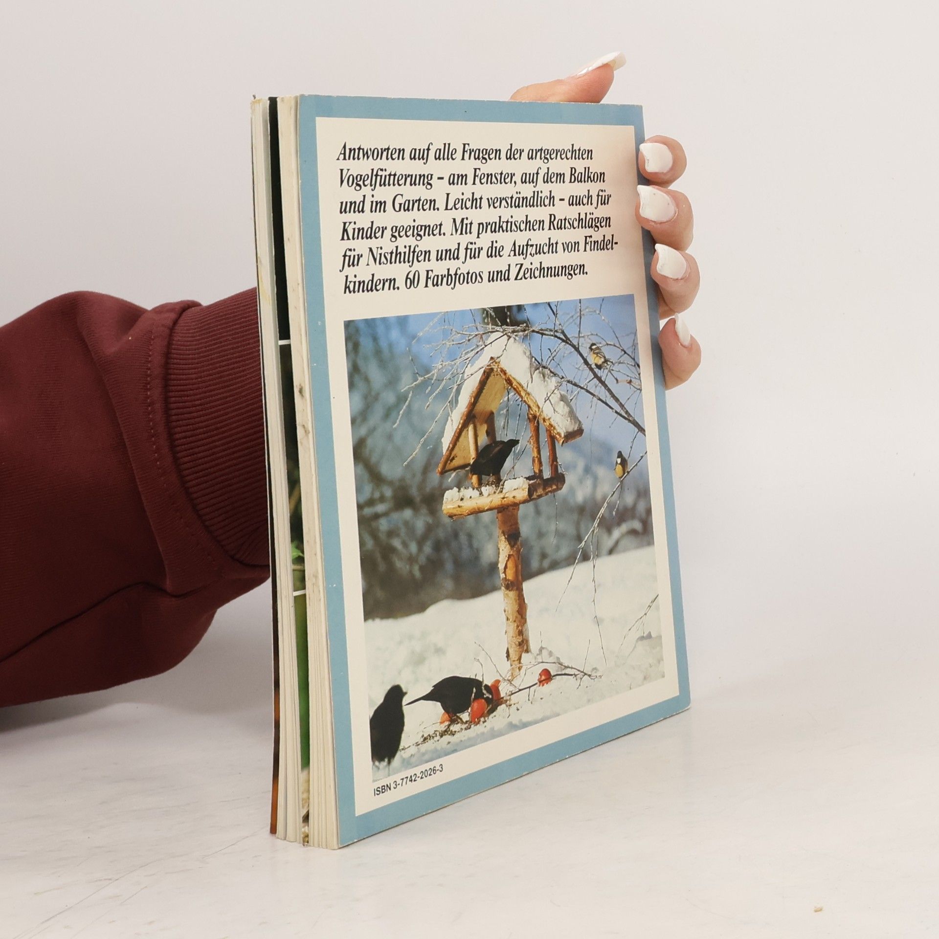 Otto von Frisch Vögel als Wintergäste