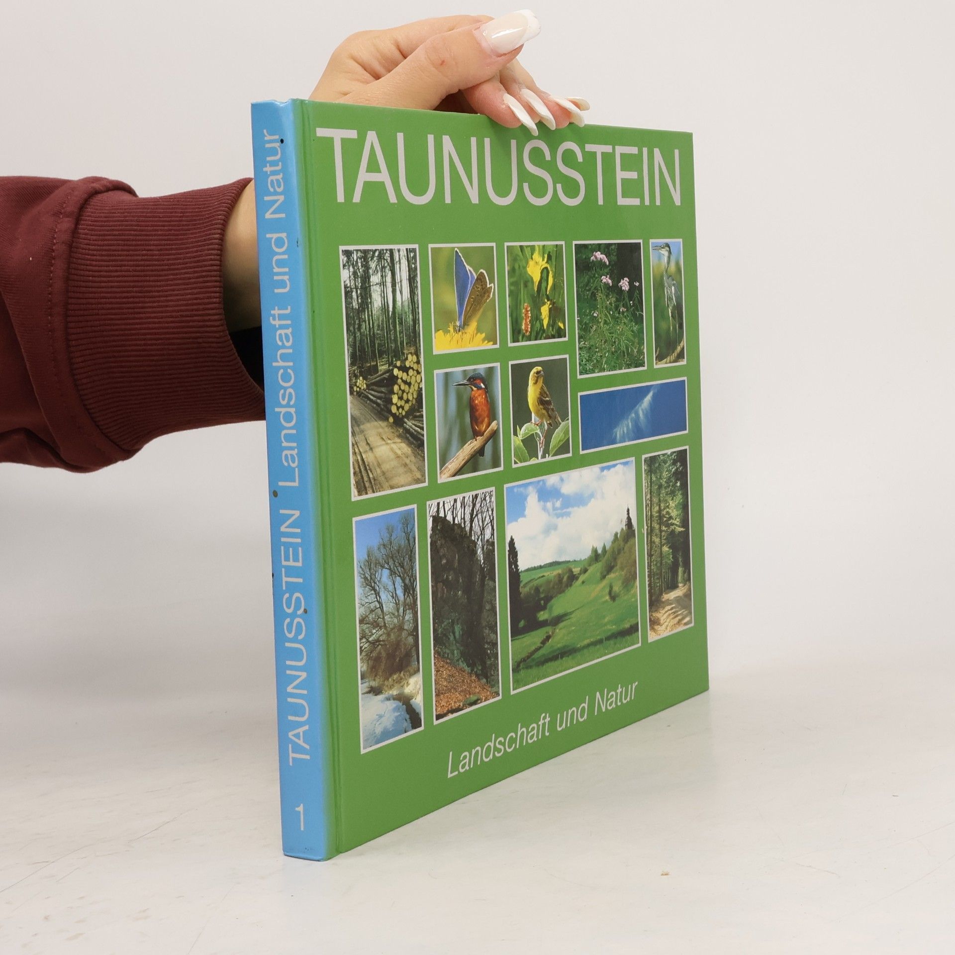 kolektiv Taunusstein 1.