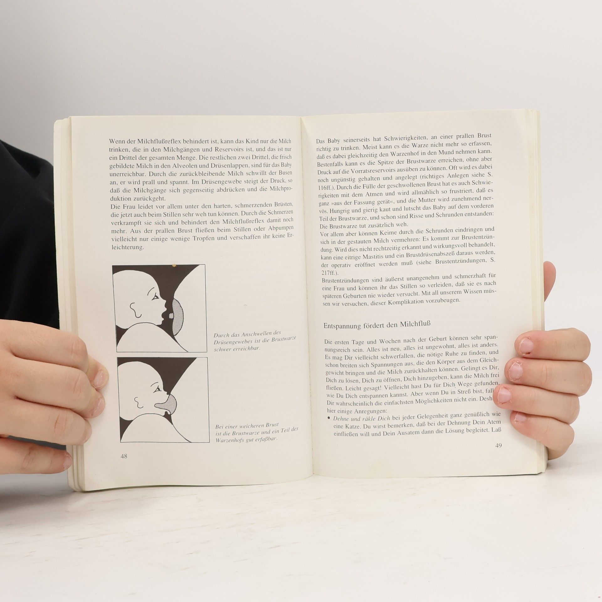 Hanny Lothrop Das Stillbuch