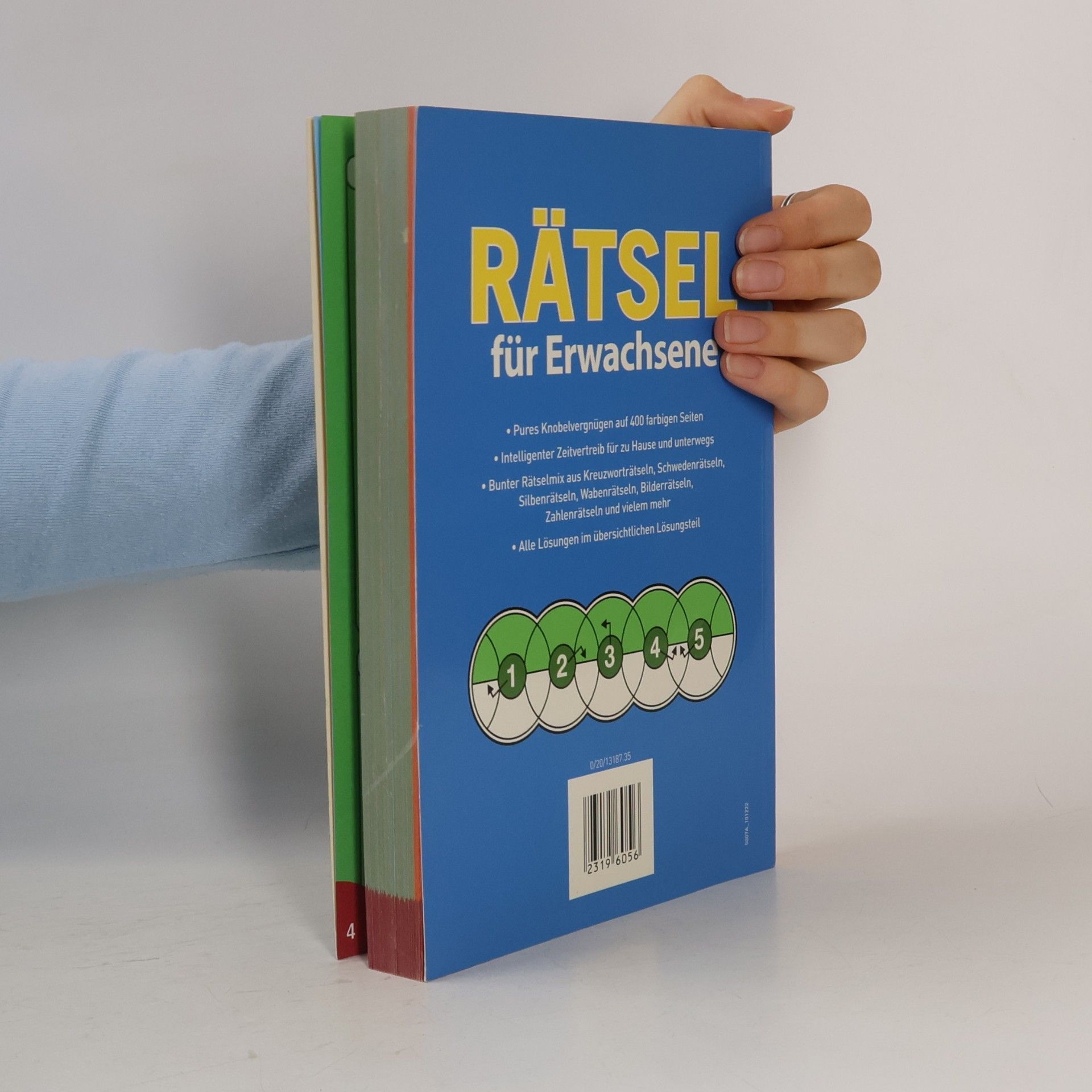Rätsel für Erwachsene: 400 Seiten spannender Rätselspaß - Alles in Farbe