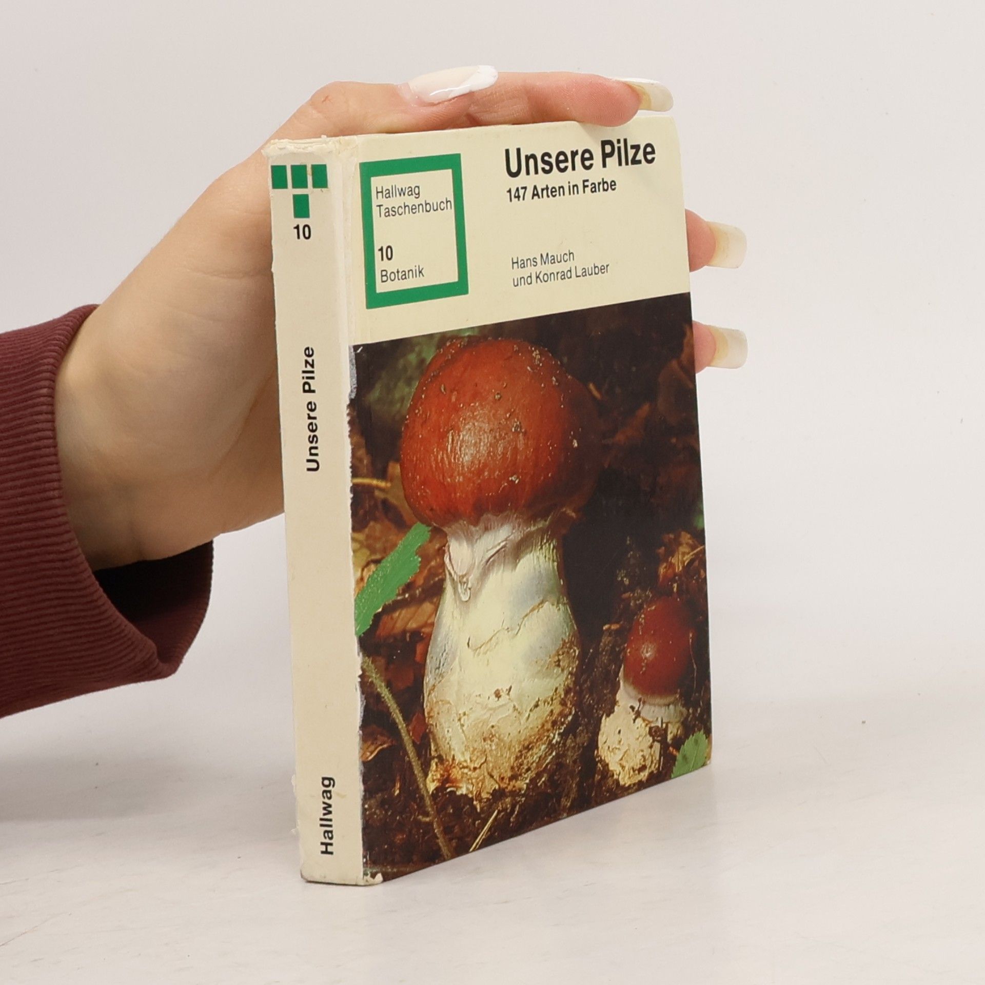 Unsere Pilze
