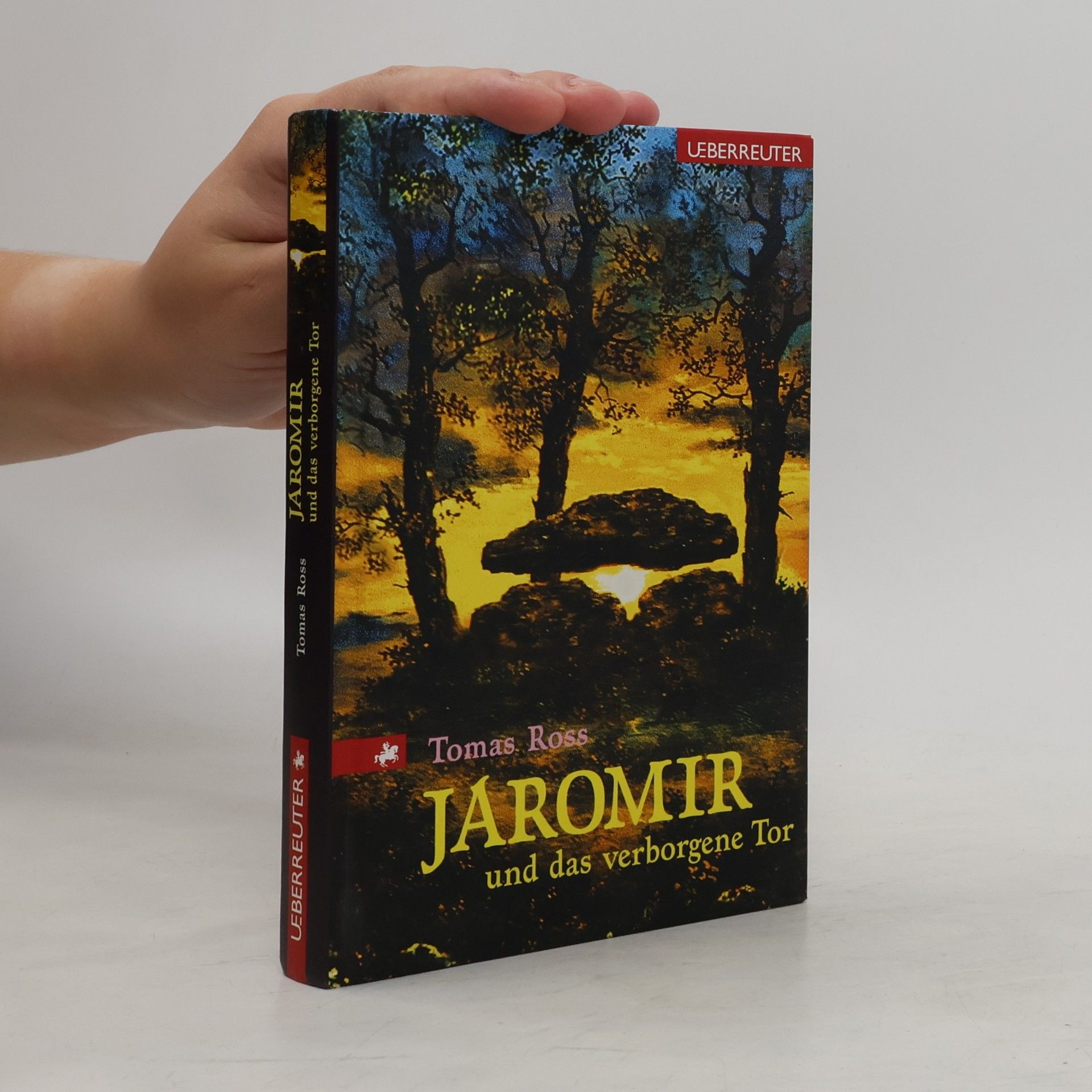 Tomas Ross Jaromir und das verborgene Tor