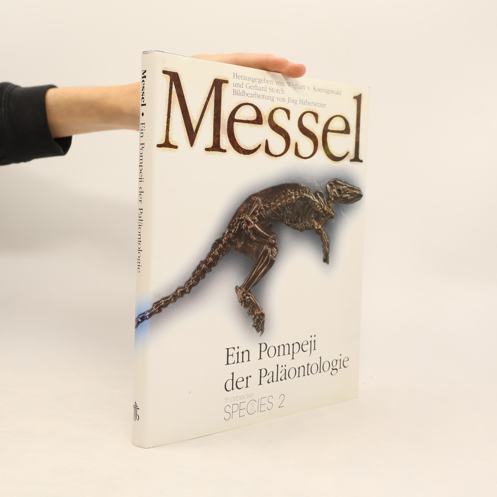 Messel