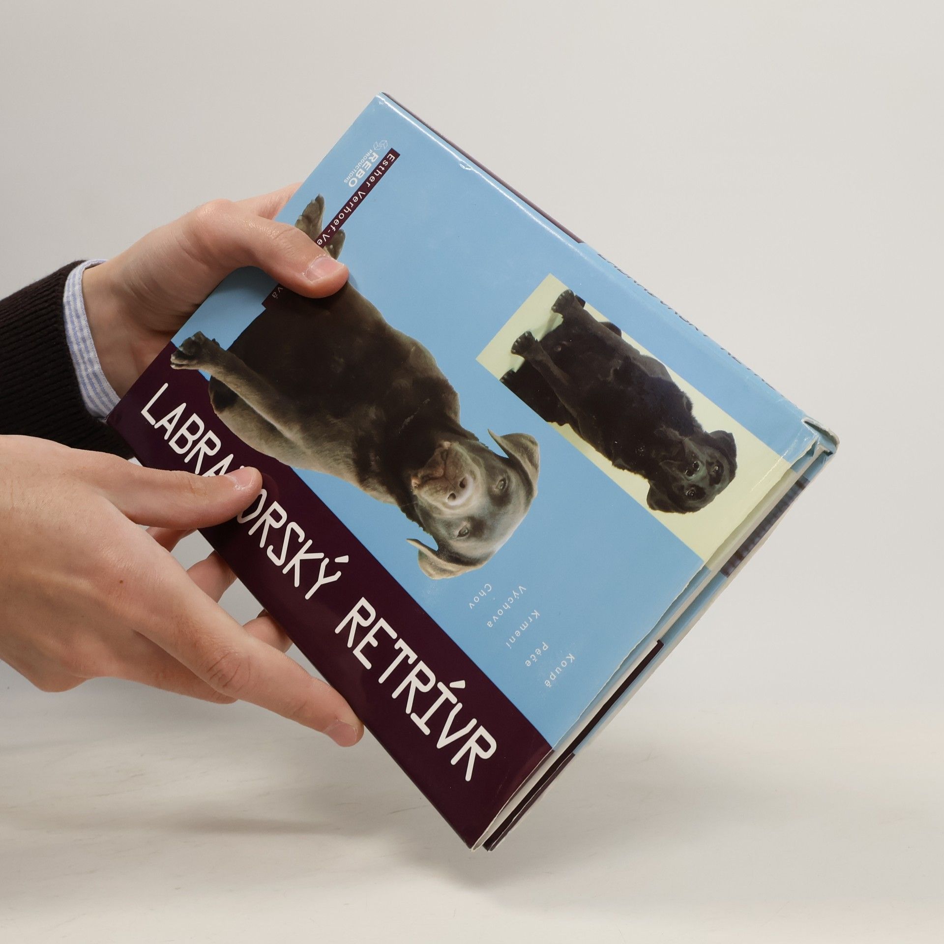 Esther Verhoef Labradorský retrívr