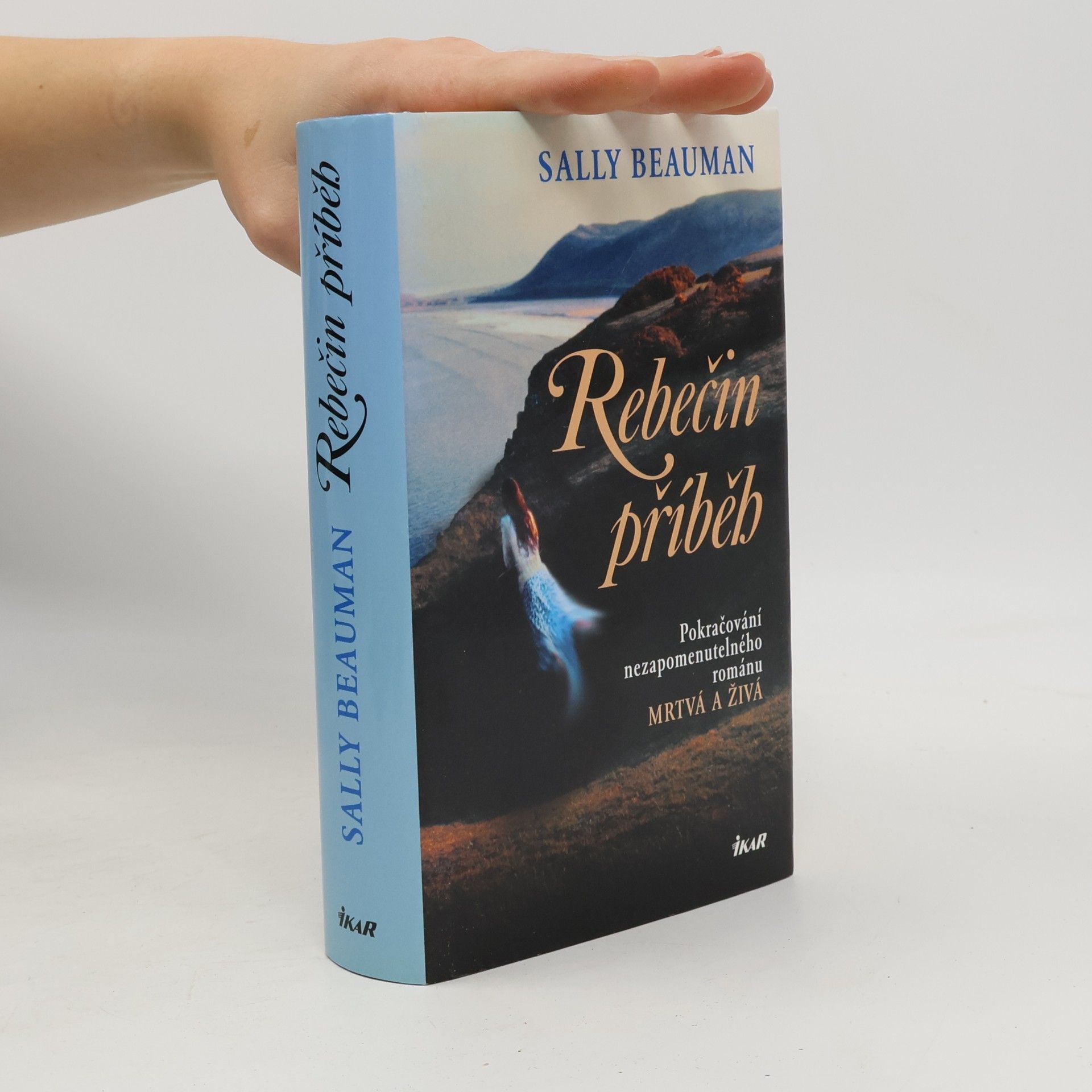 Rebečin příběh