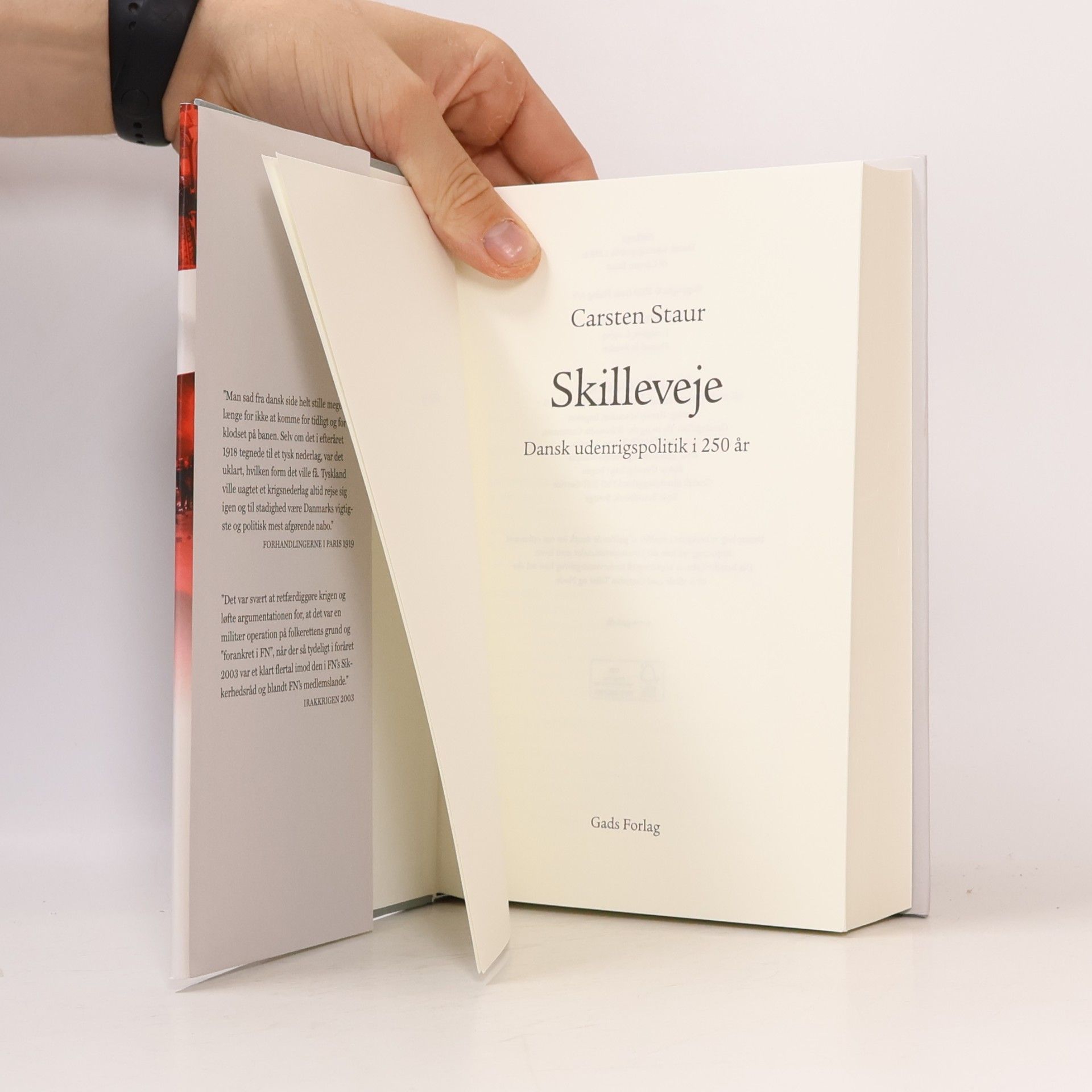 Carsten Staur Skilleveje
