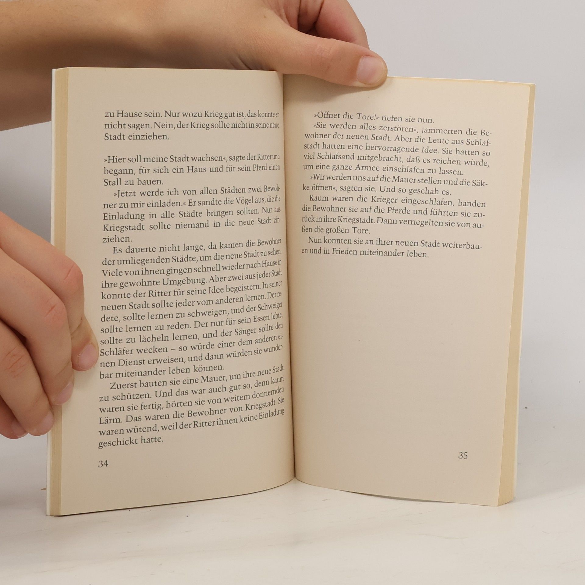 Hildegard Horie Brockhaus Rabenbücher: Das Wunschtuch: Und andere Geschichten