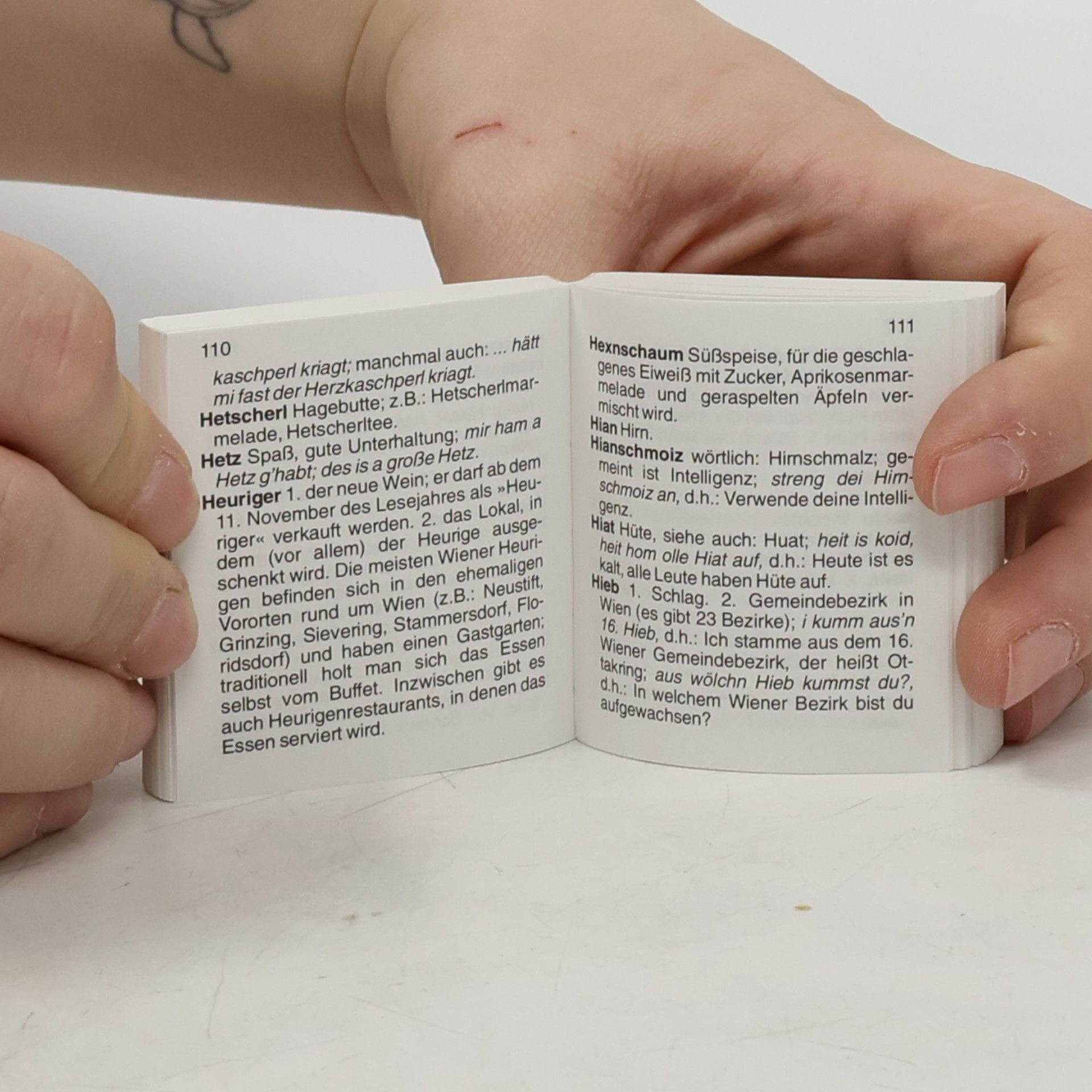 Nicole Schmidt ... Küss' die Hand ...