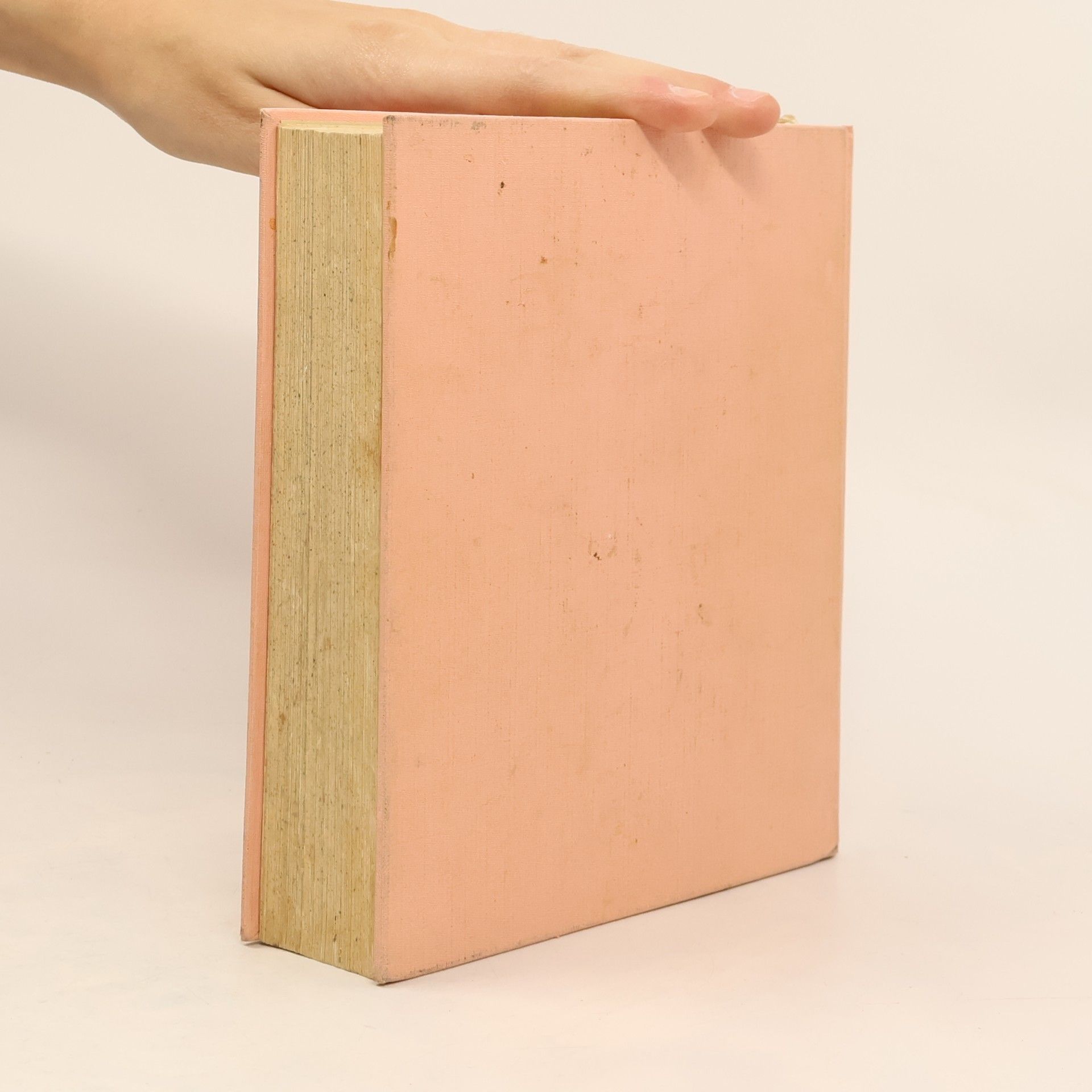 Elizabeth Schuler Mein Kochbuch