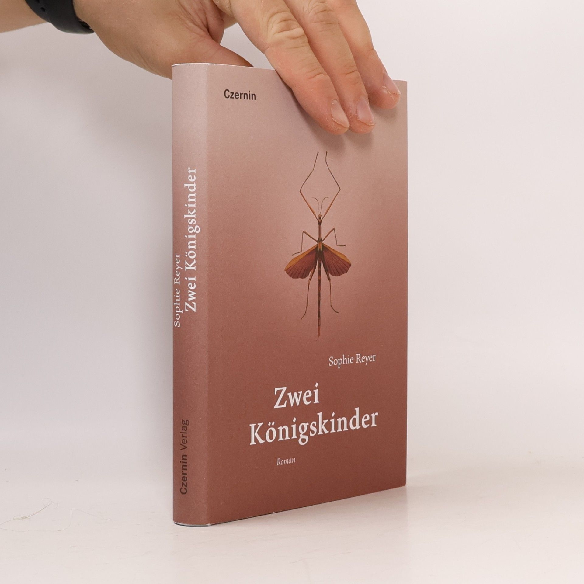 Sophie Reyer Zwei Königskinder