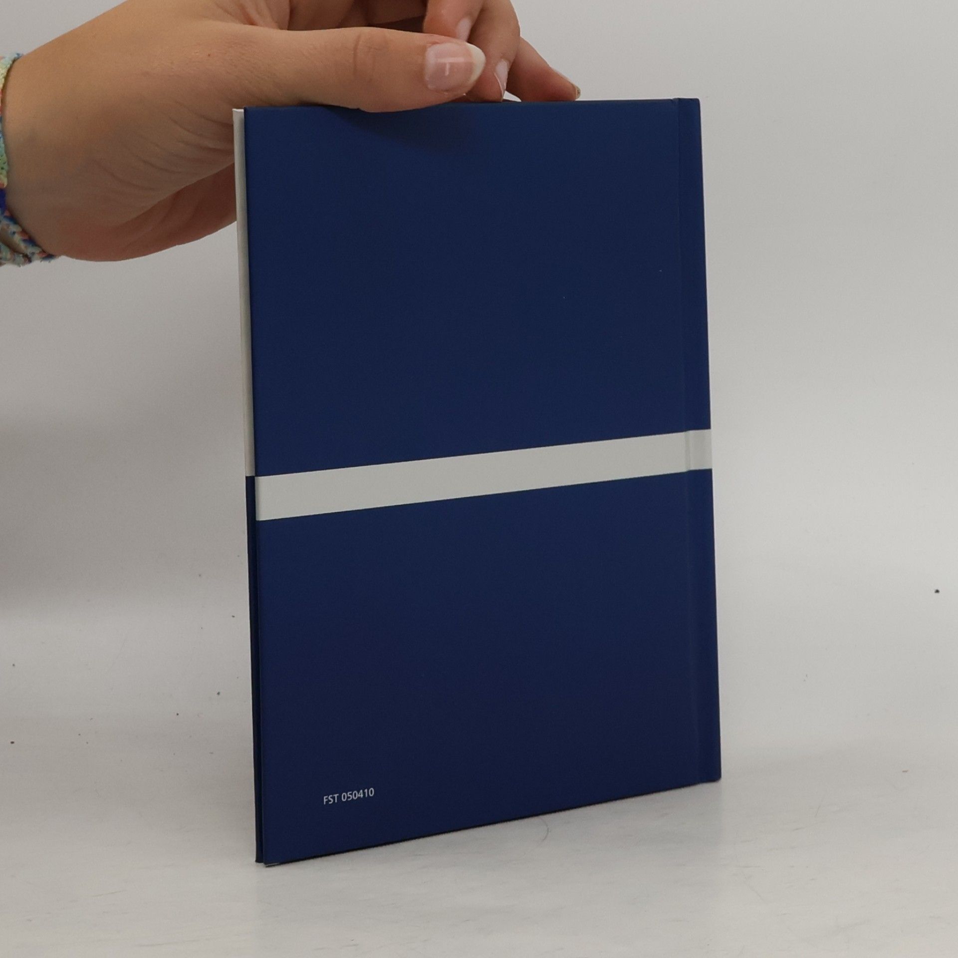 Rainer Köthe Der Lapislazuli