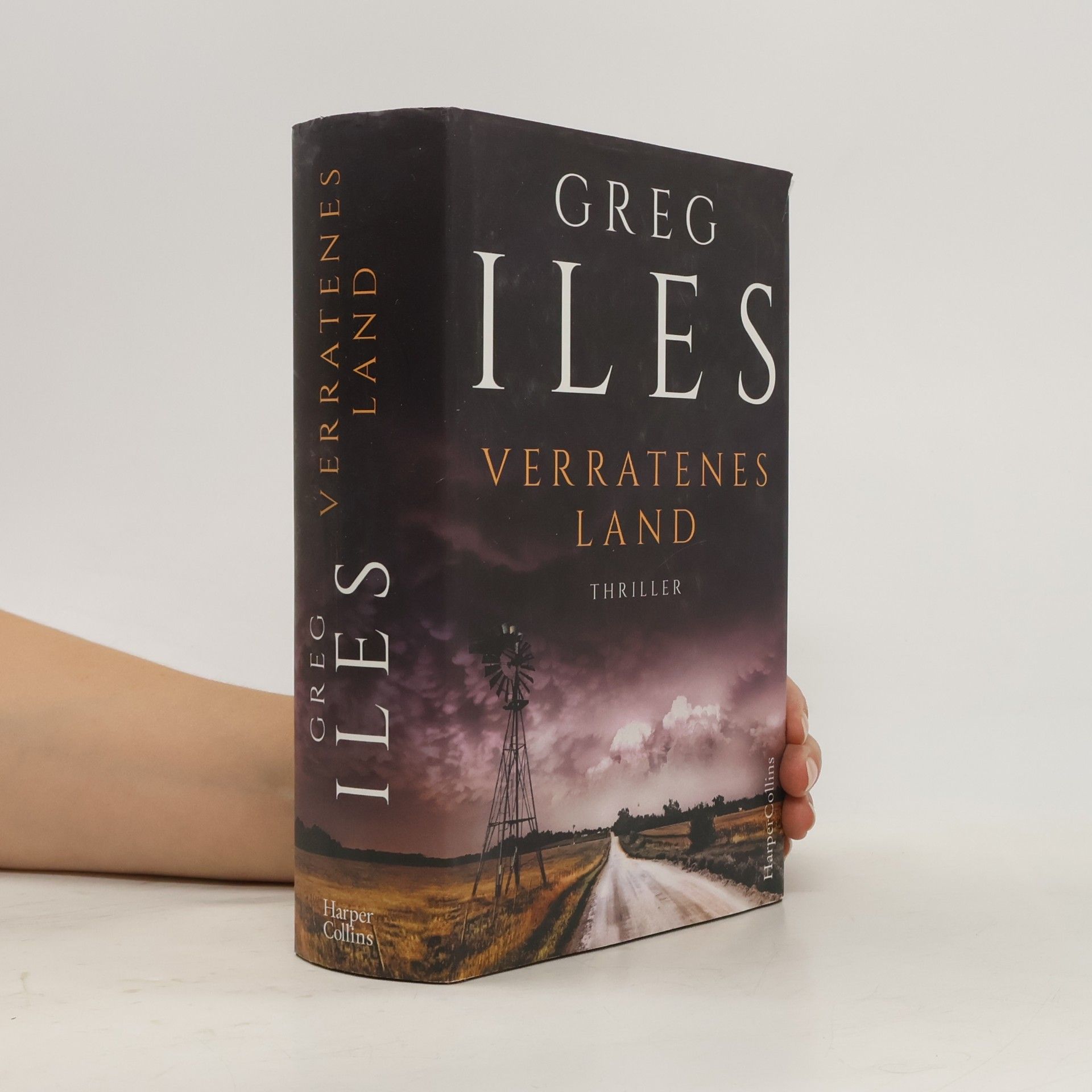 Greg Iles Verratenes Land