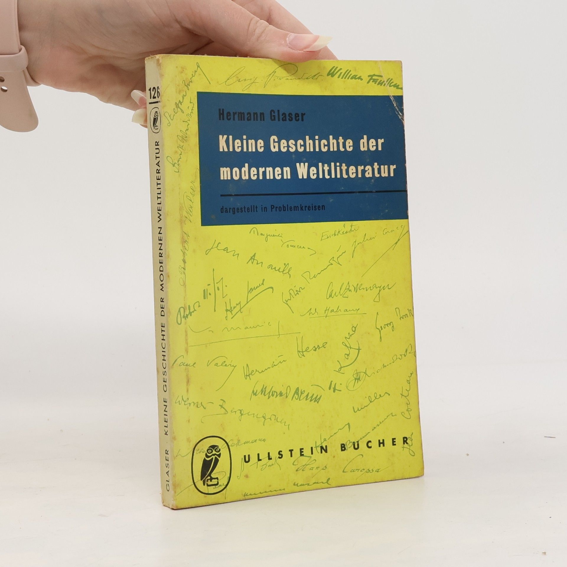 Kleine Geschichte der modernen Weltliteratur