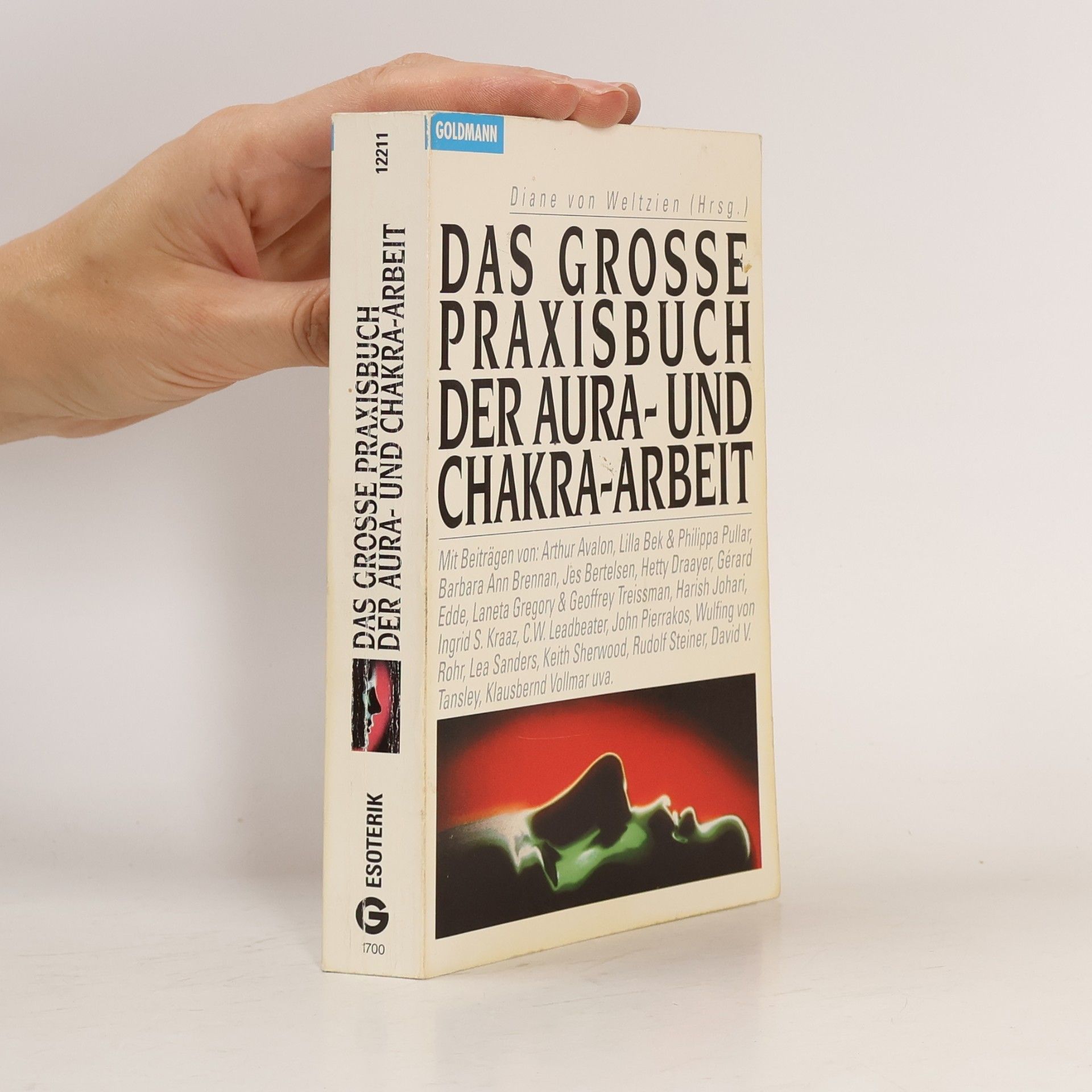 Das grosse Praxisbuch der Aura- und Chakra-Arbeit