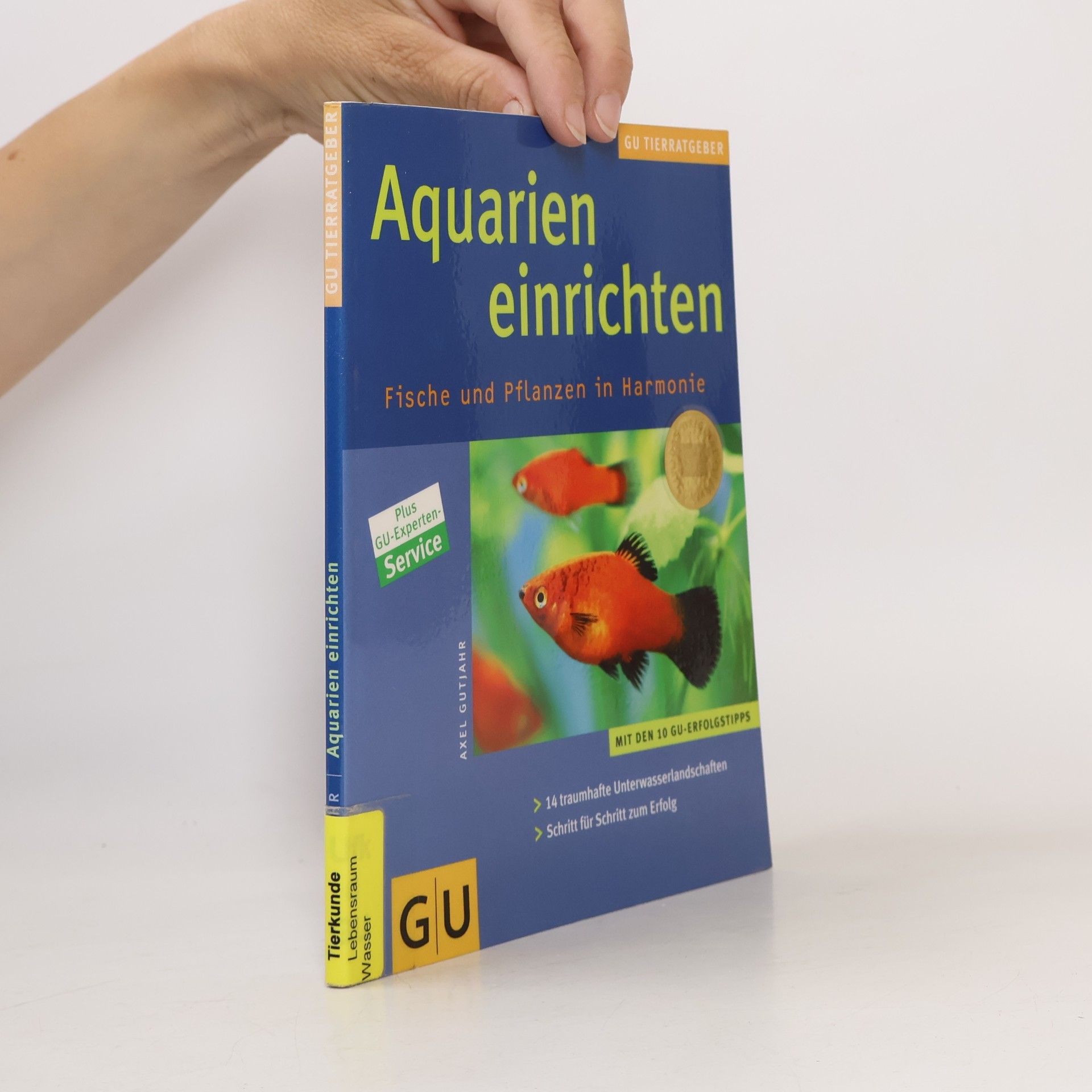Aquarien einrichten