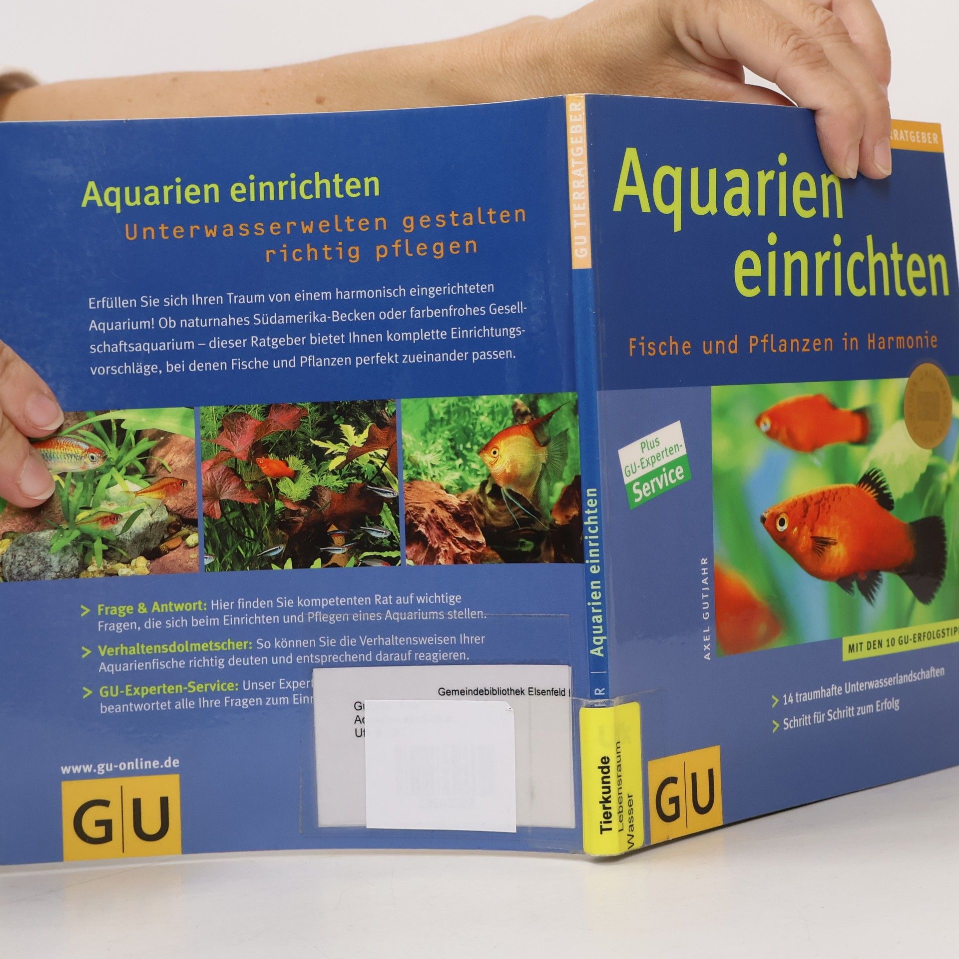 Axel Gutjahr Aquarien einrichten