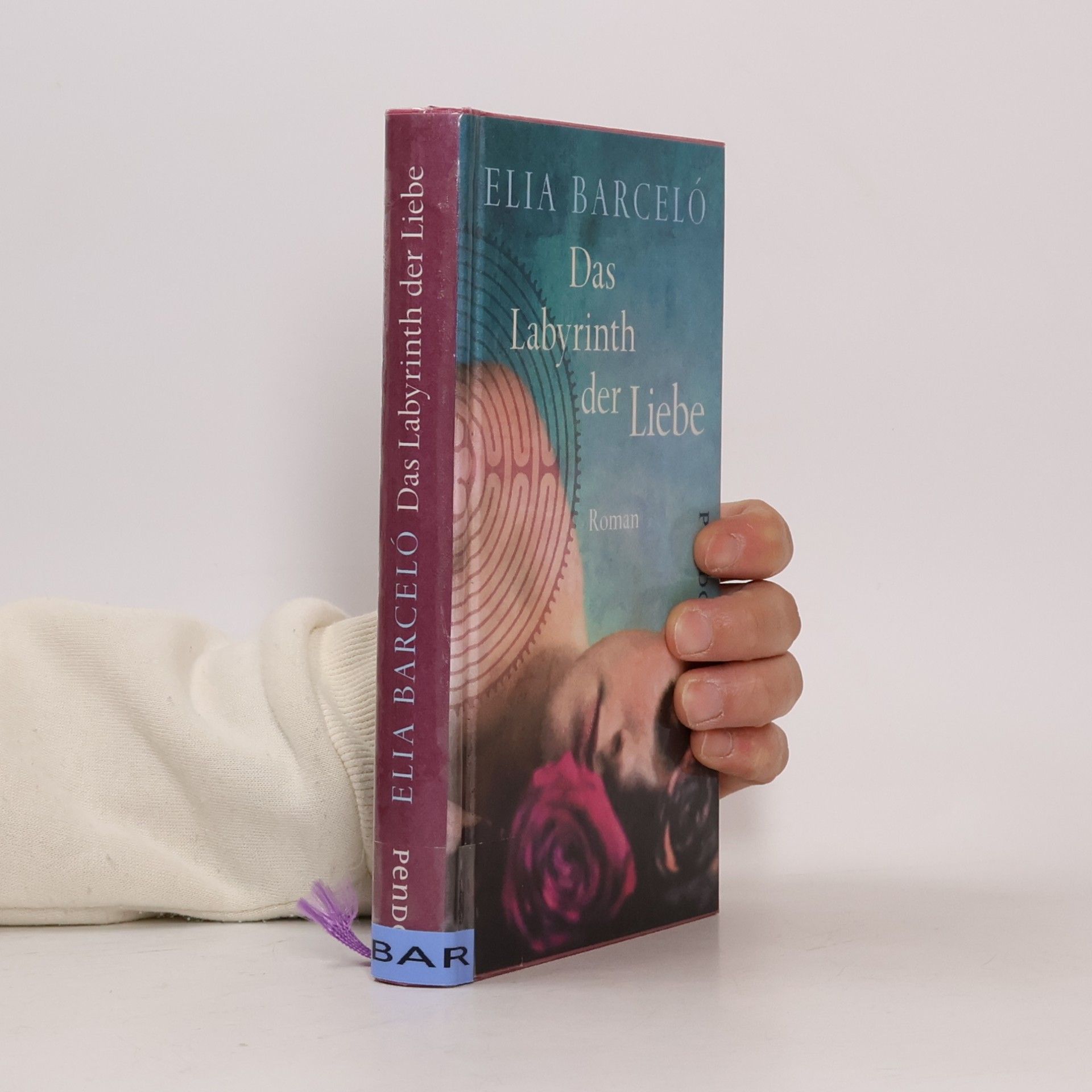 Elia Barceló Das Labyrinth der Liebe