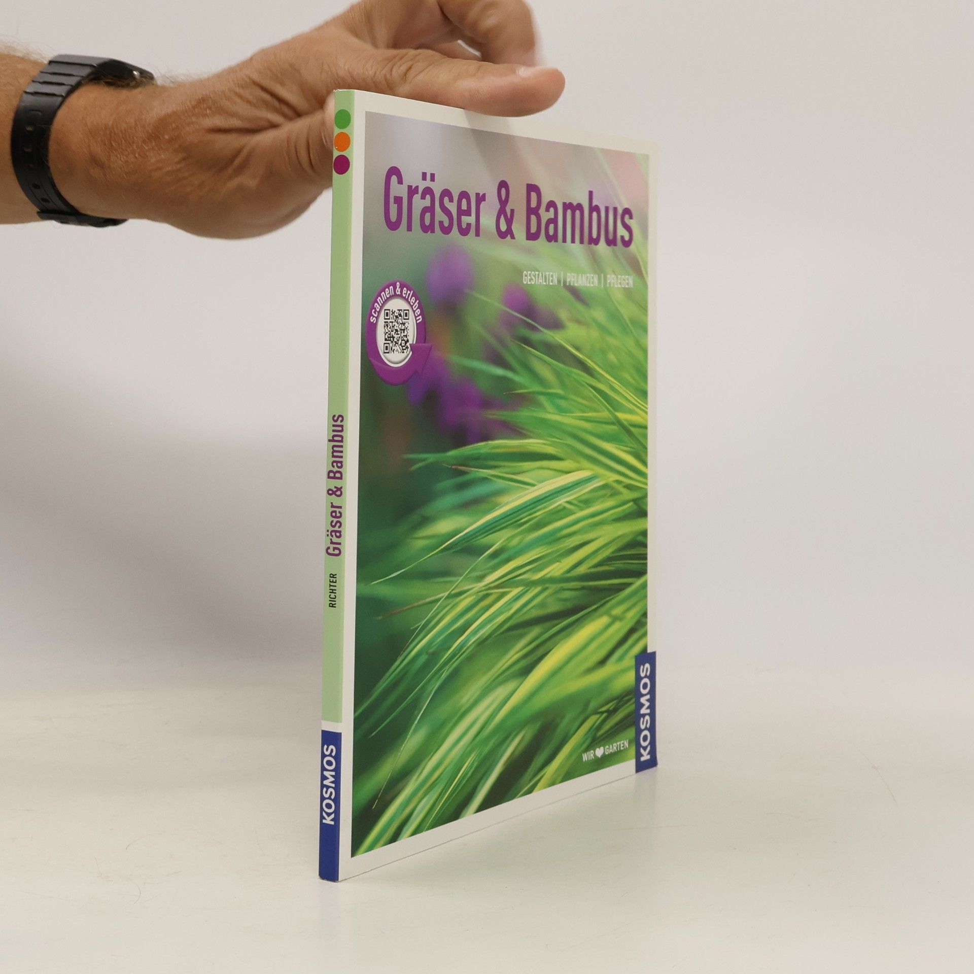 Gräser und Bambus