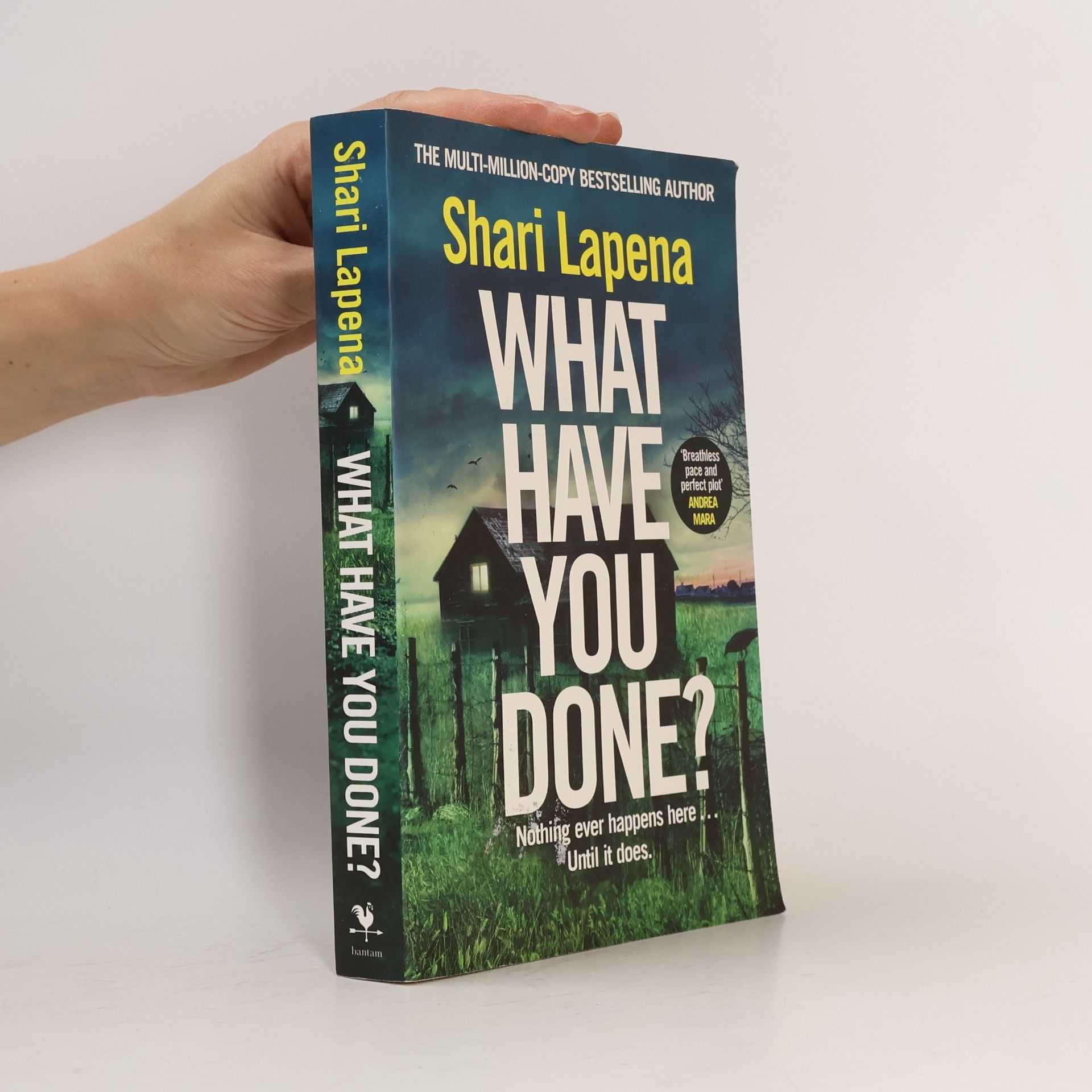 What Have You Done?: The addictive and haunting new thriller from the Richard & Judy bestselling author