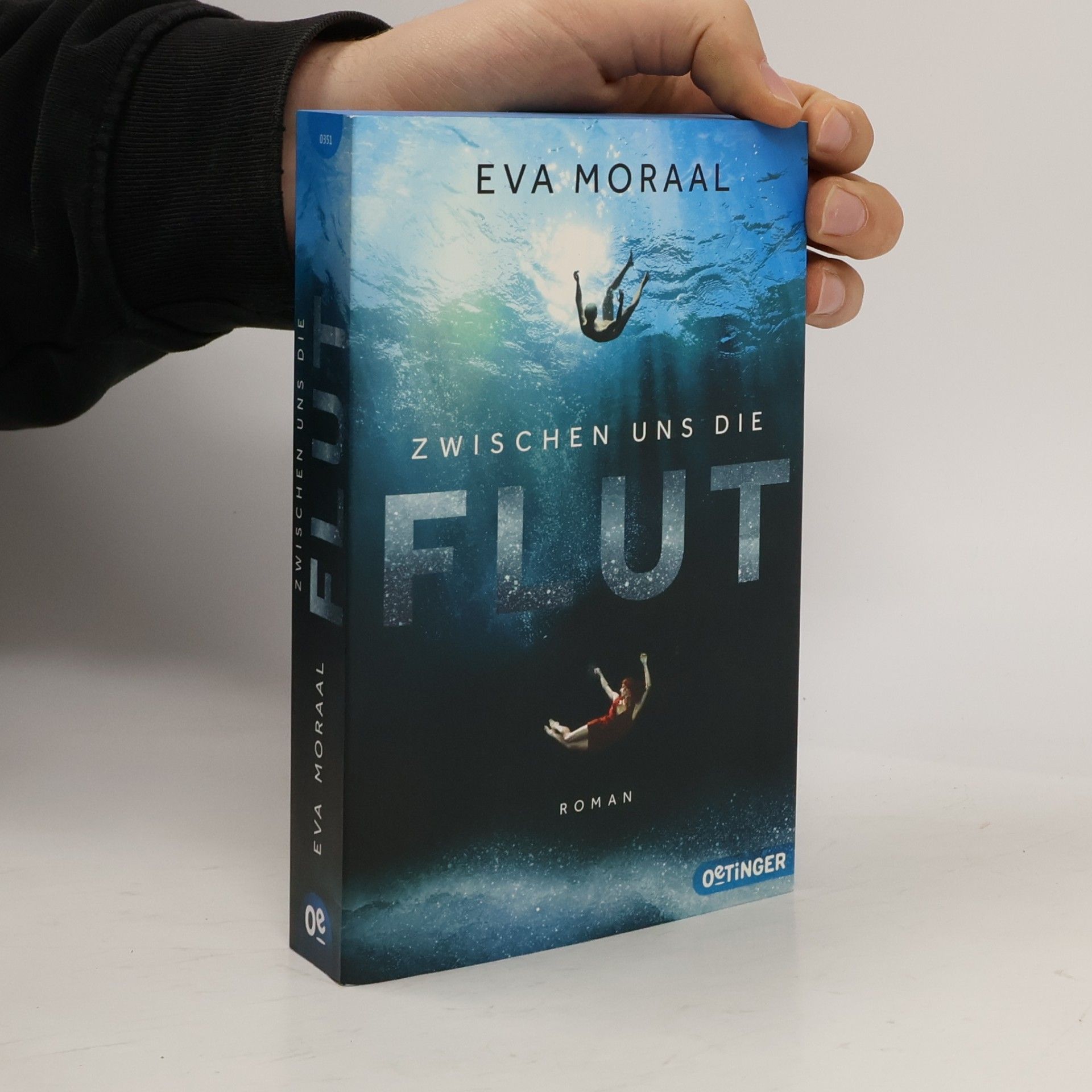 Eva Moraal Zwischen uns die Flut