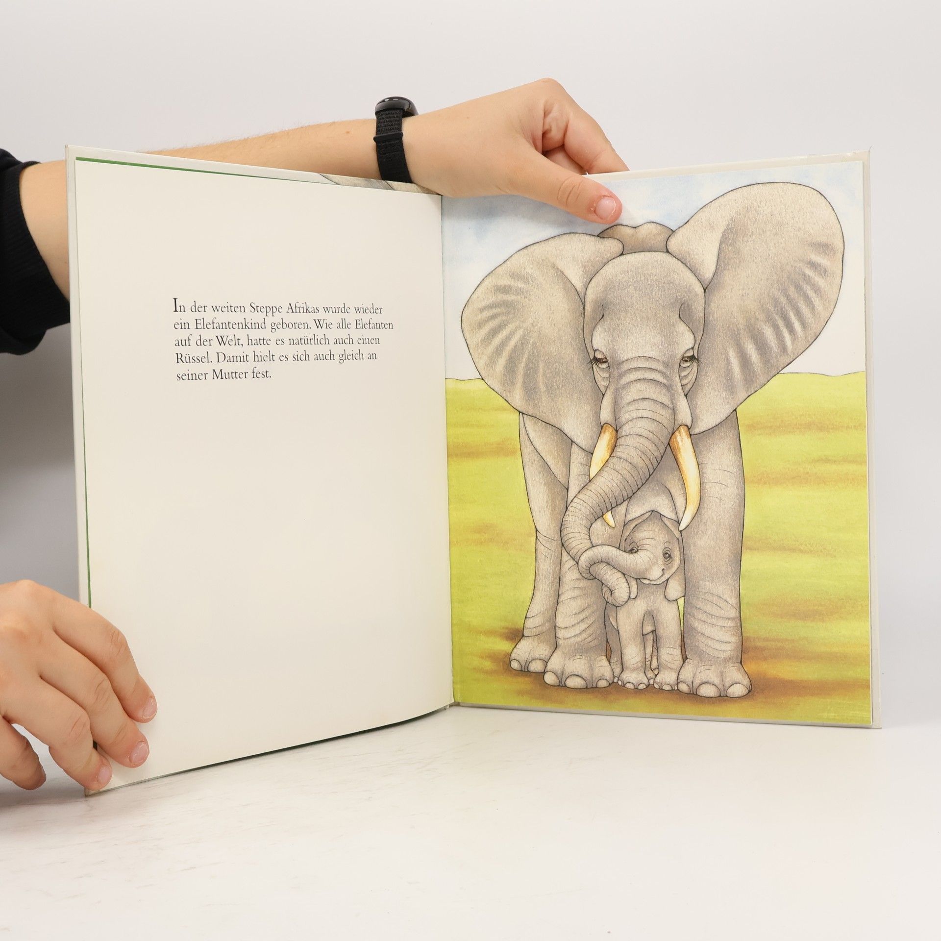 Sara Ball Der kleine Nasenelefant