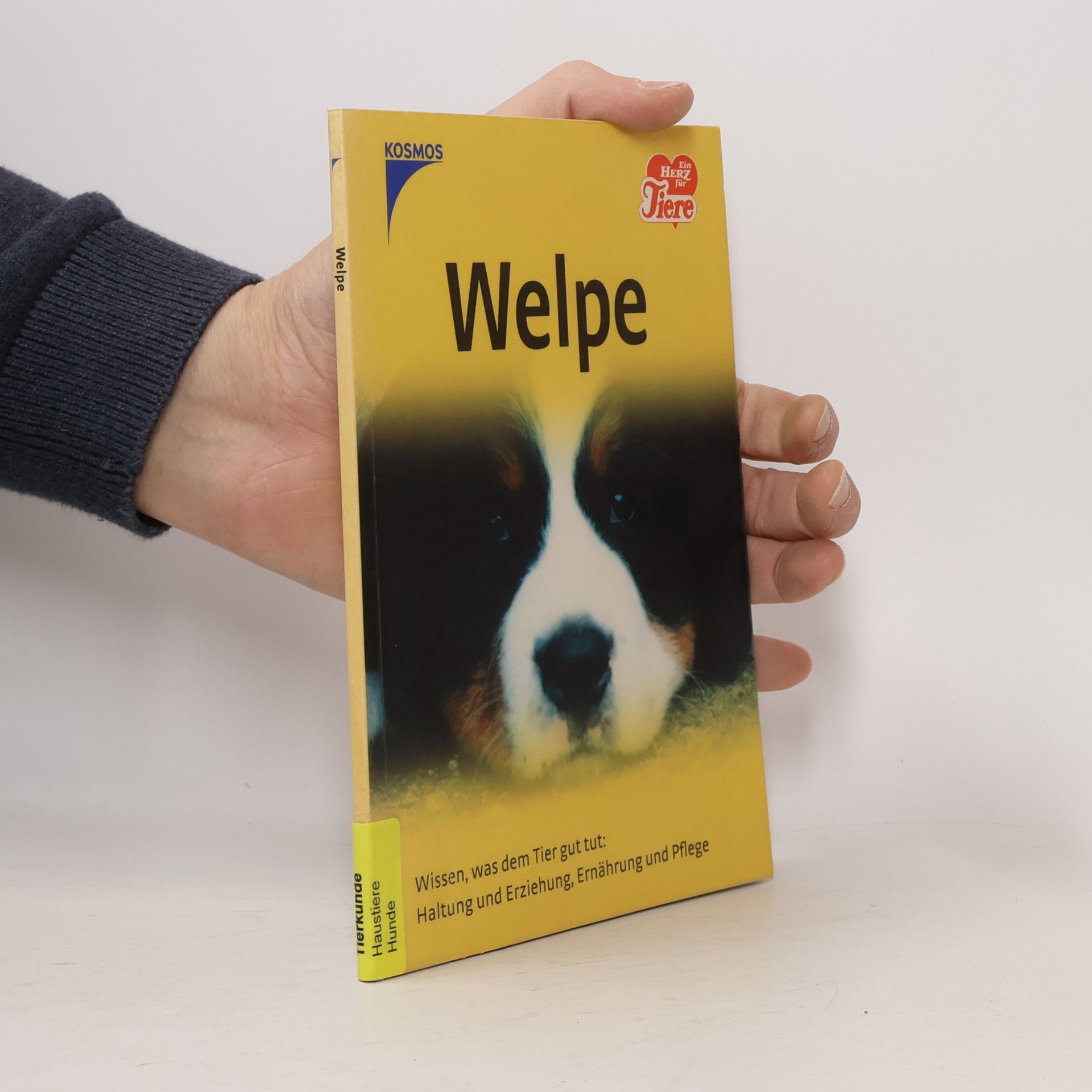Autorenkollektiv Welpe