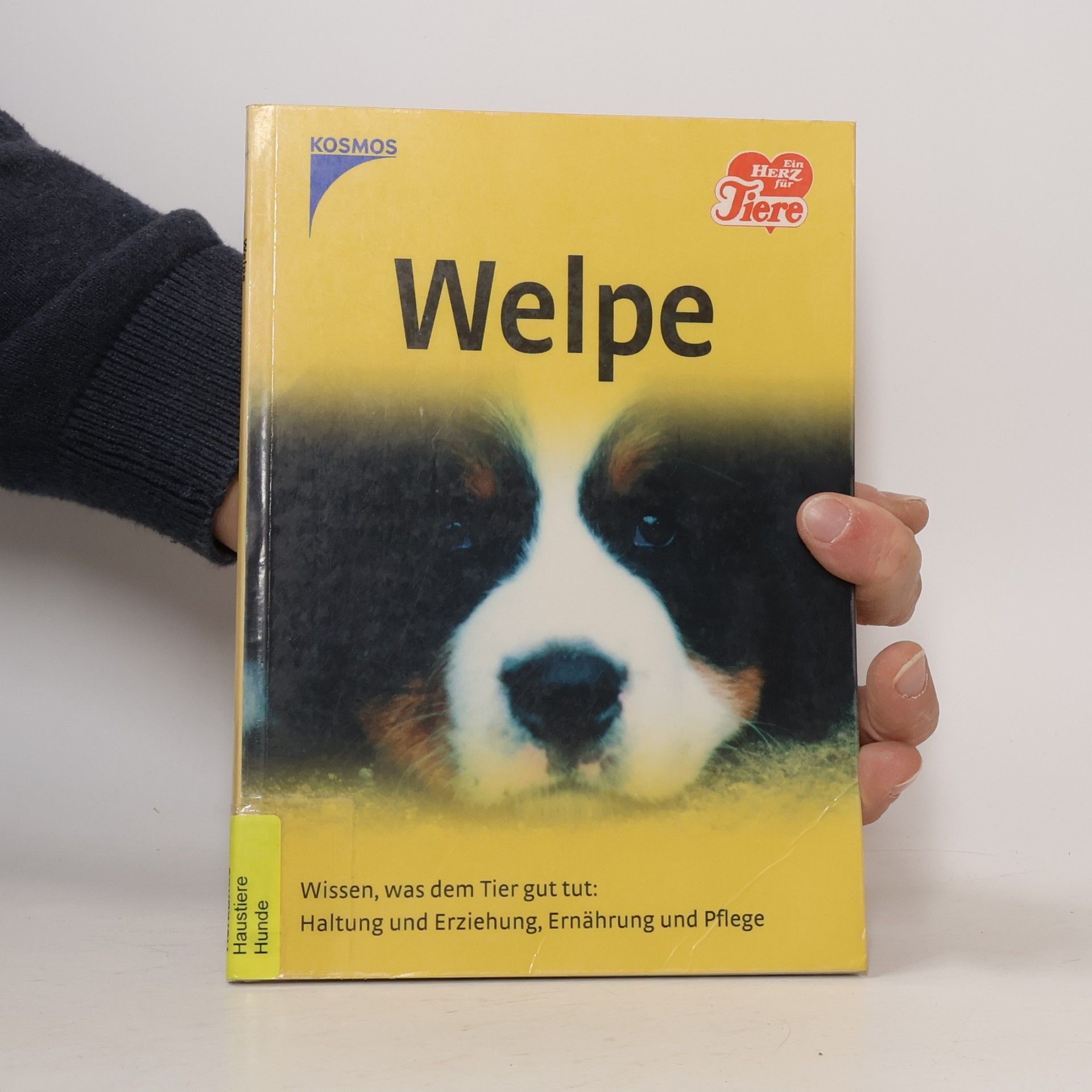Autorenkollektiv Welpe
