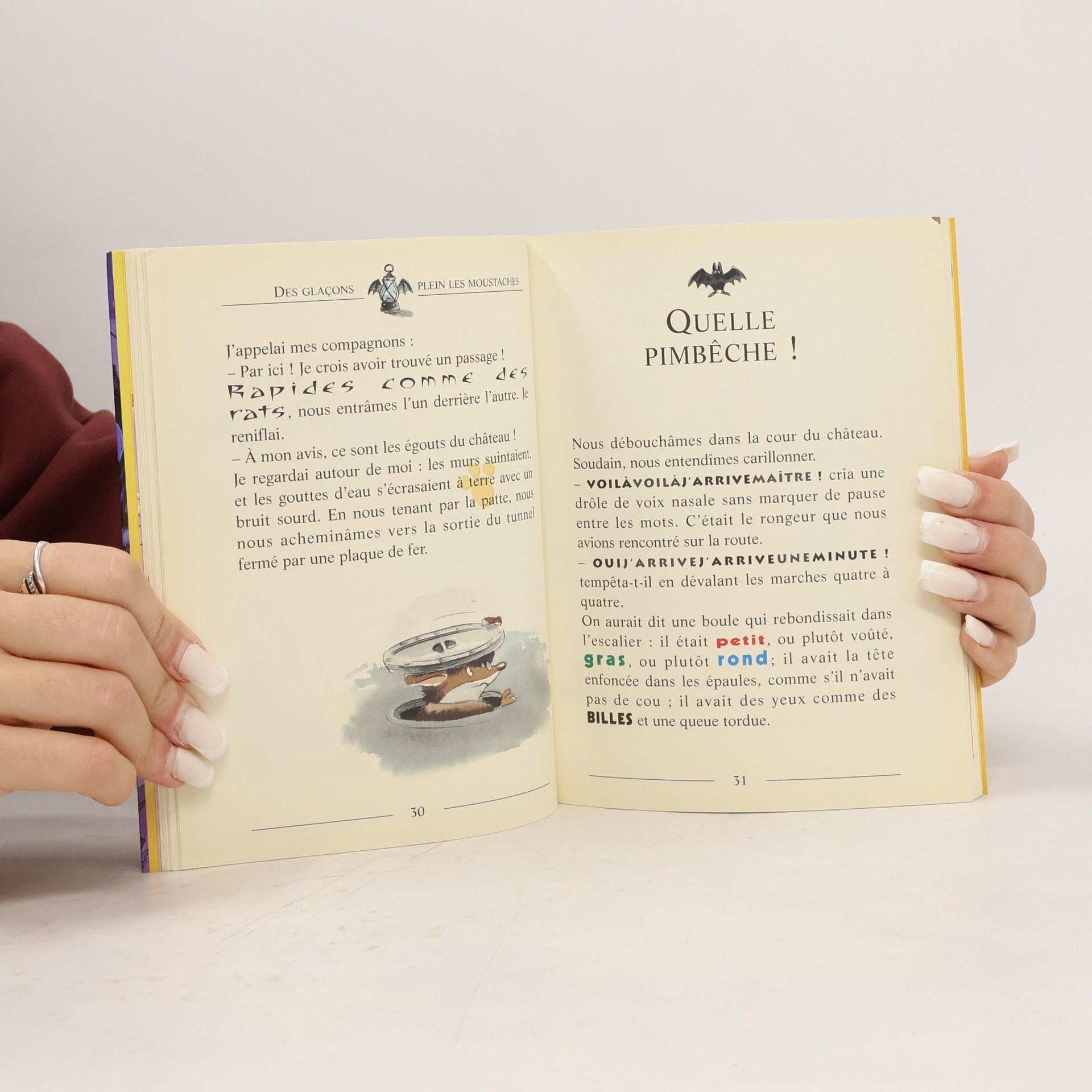 Elisabetta Dami Geronimo Stilton - 3: Un sorbet aux mouches pour Monsieur le Comte