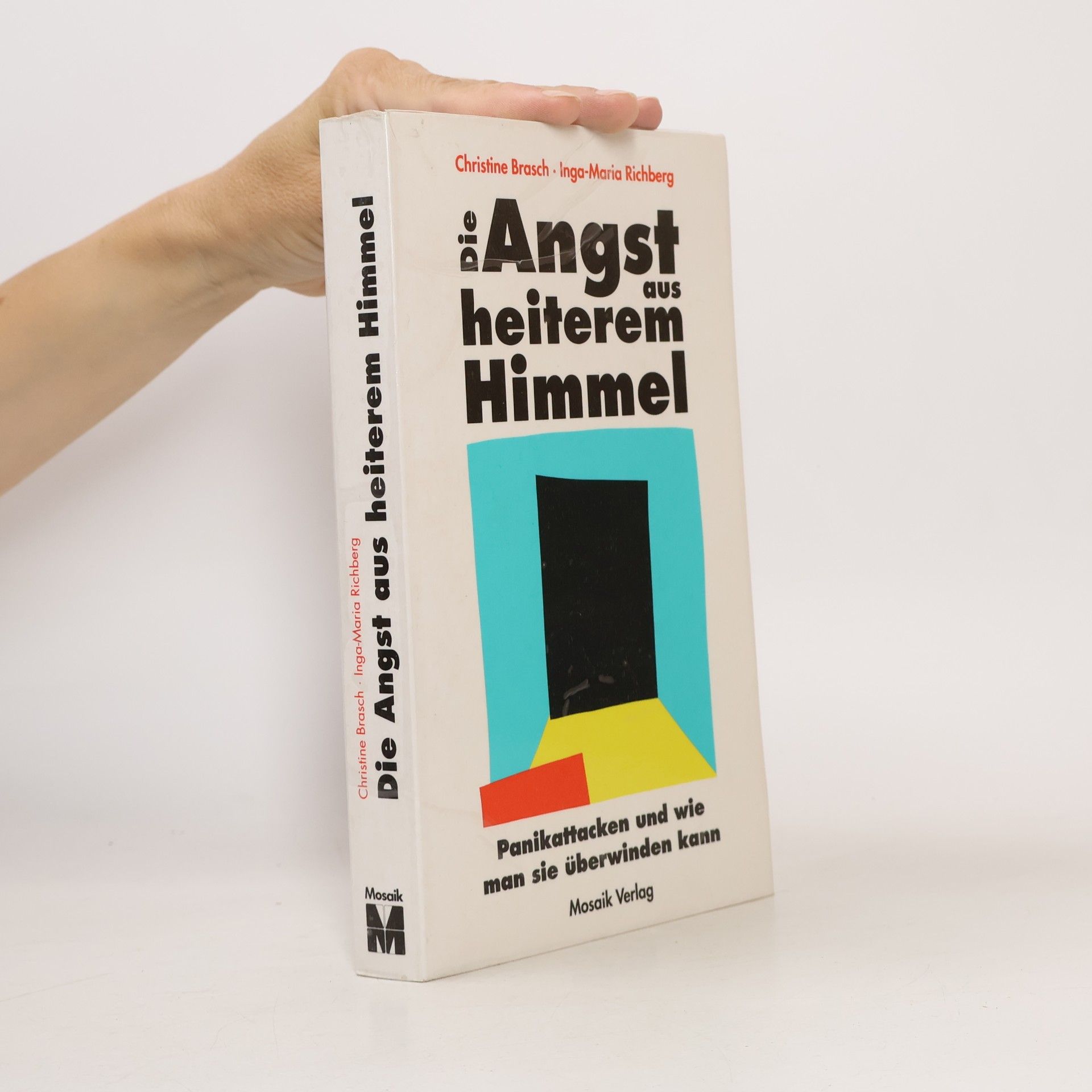 Christine Brasch Die Angst aus heiterem Himmel