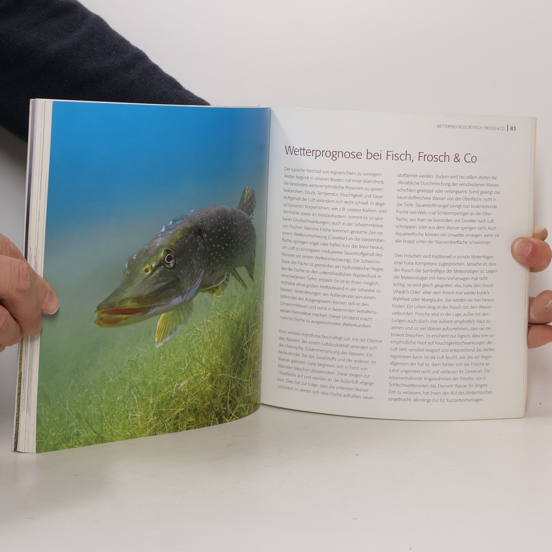 Bernhard Michels Tierische Wettervorhersage