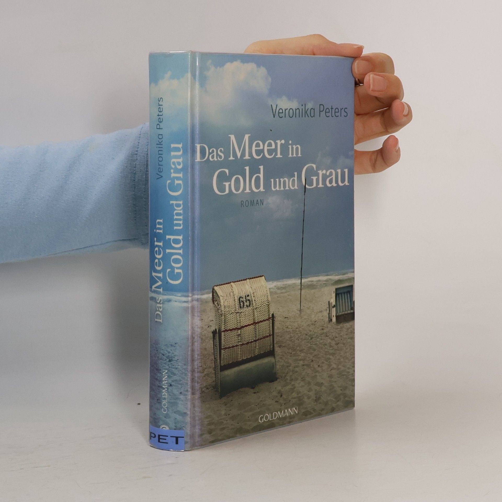 Veronika Peters Das Meer in Gold und Grau