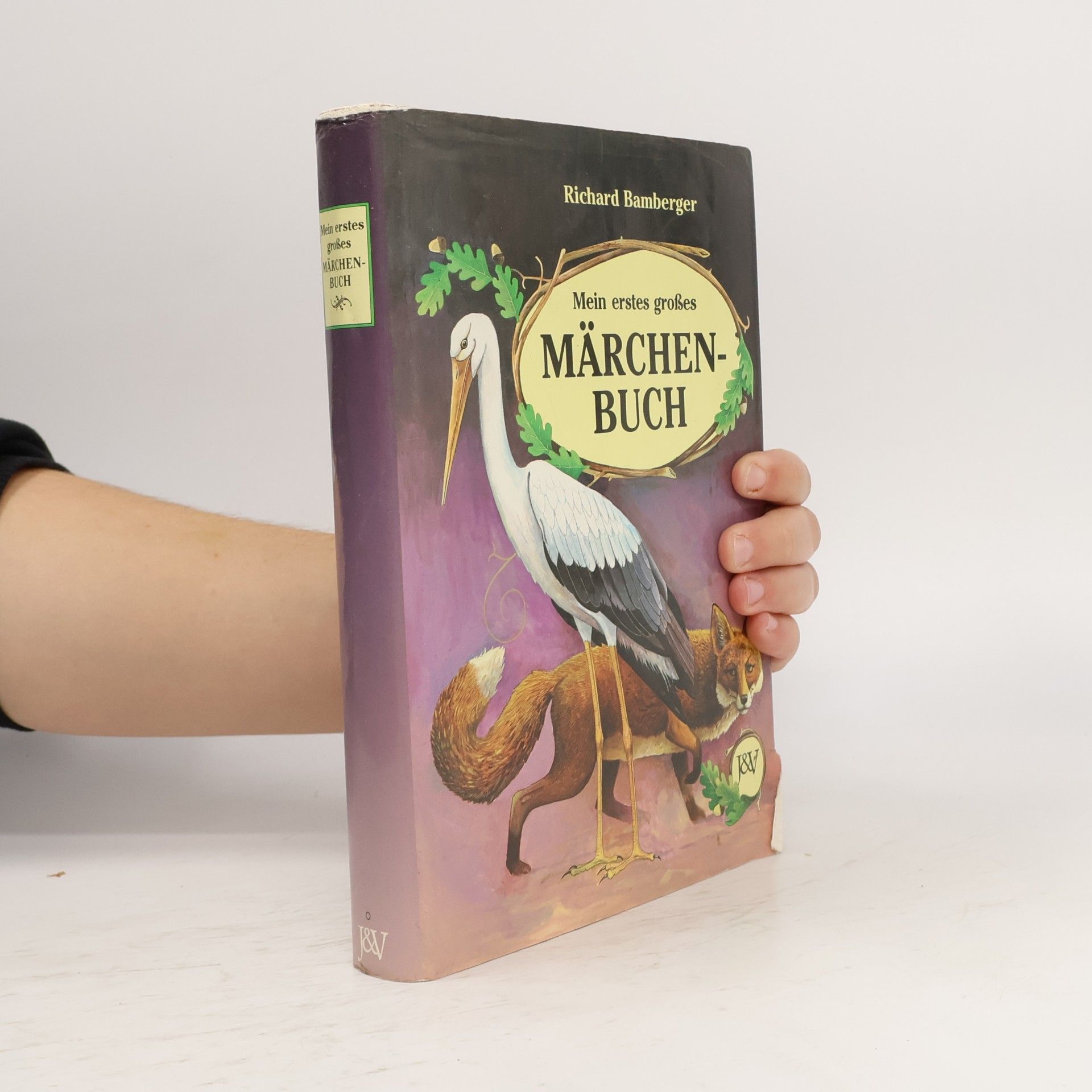 Mein erstes grosses Märchenbuch