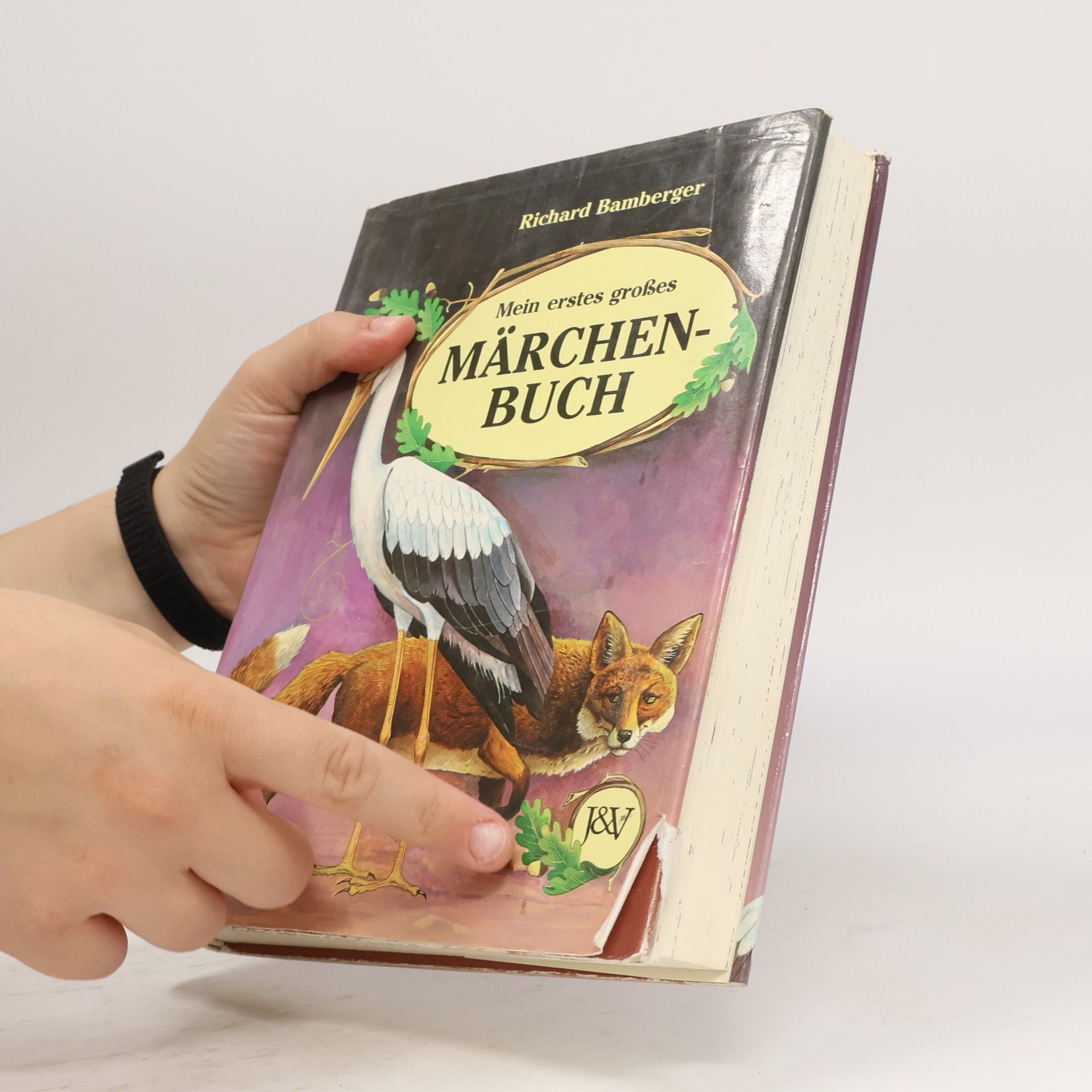Richard Bamberger Mein erstes grosses Märchenbuch