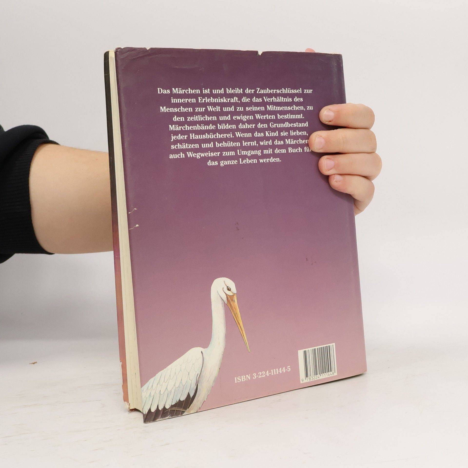 Richard Bamberger Mein erstes grosses Märchenbuch