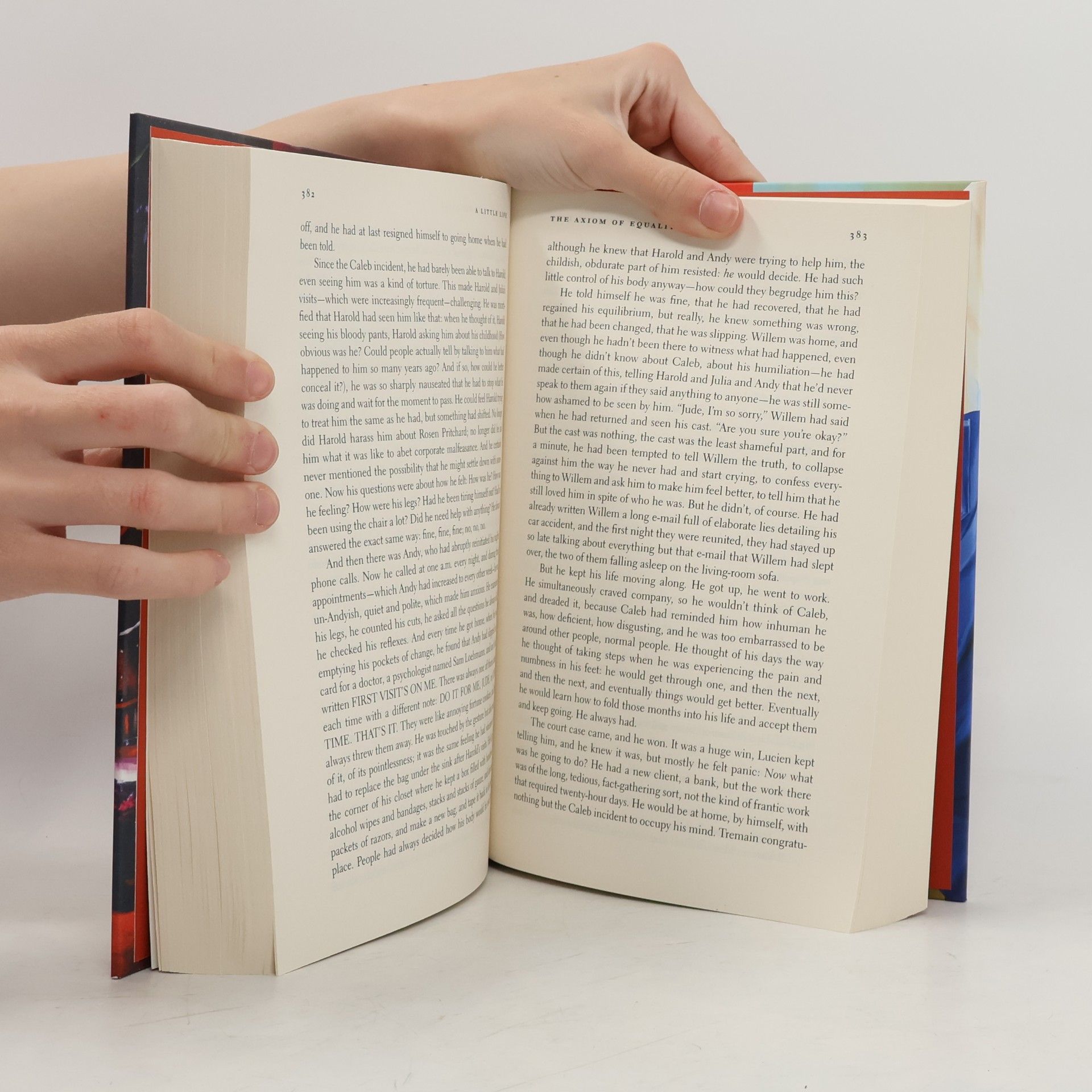 Hanya Yanagihara Picador Collection: A Little Life